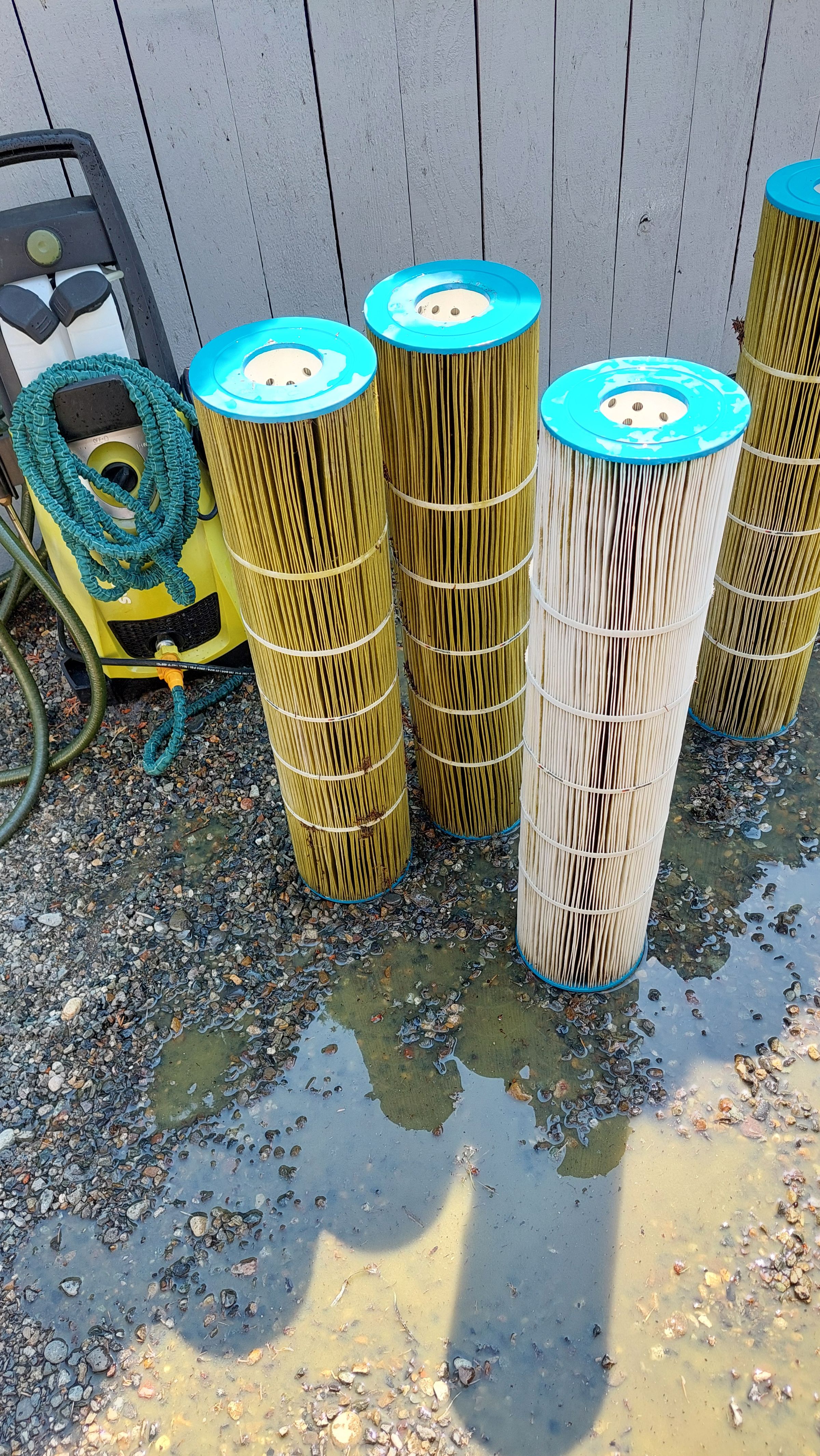 Puget Sound Pool Pros's image