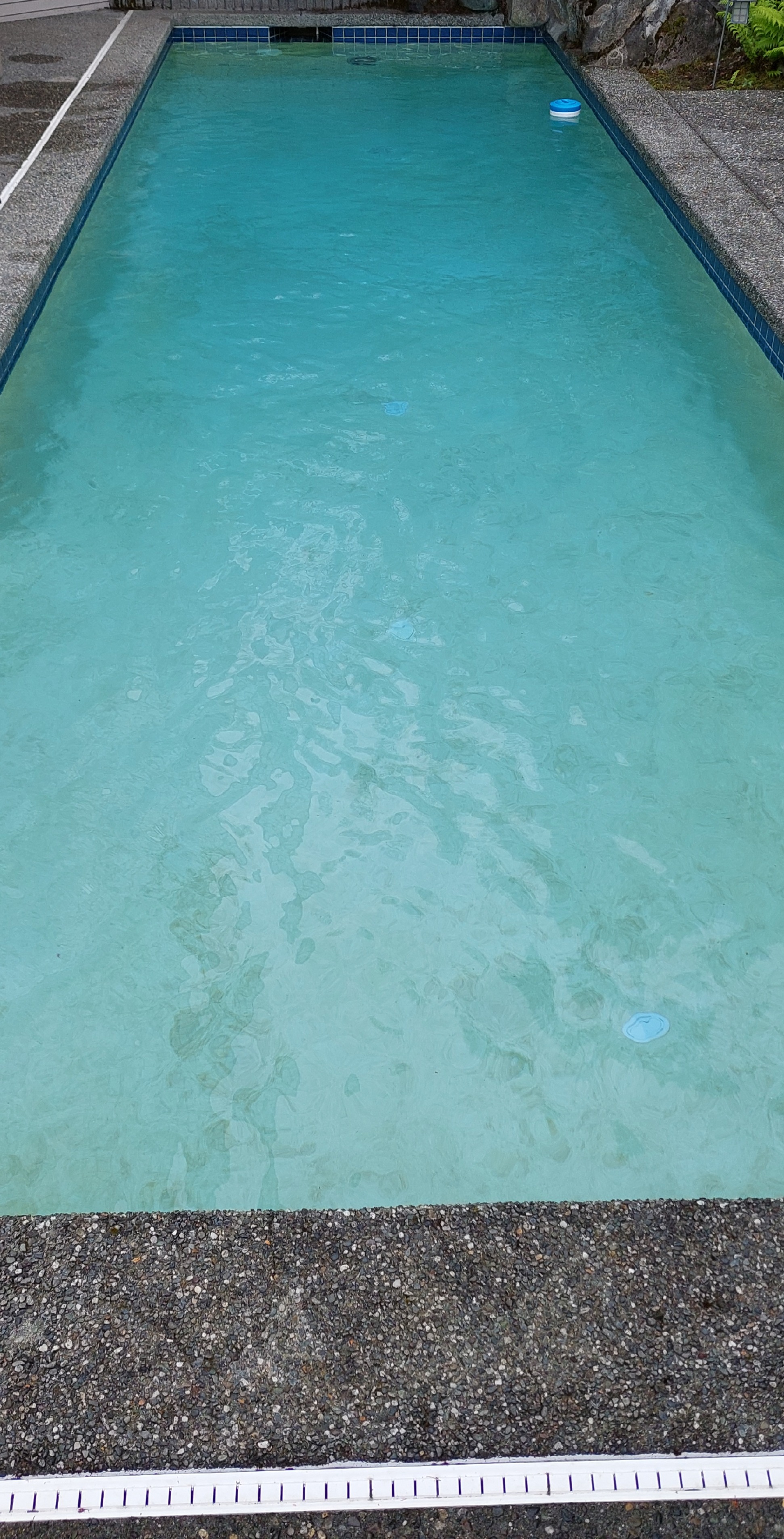 Puget Sound Pool Pros's image