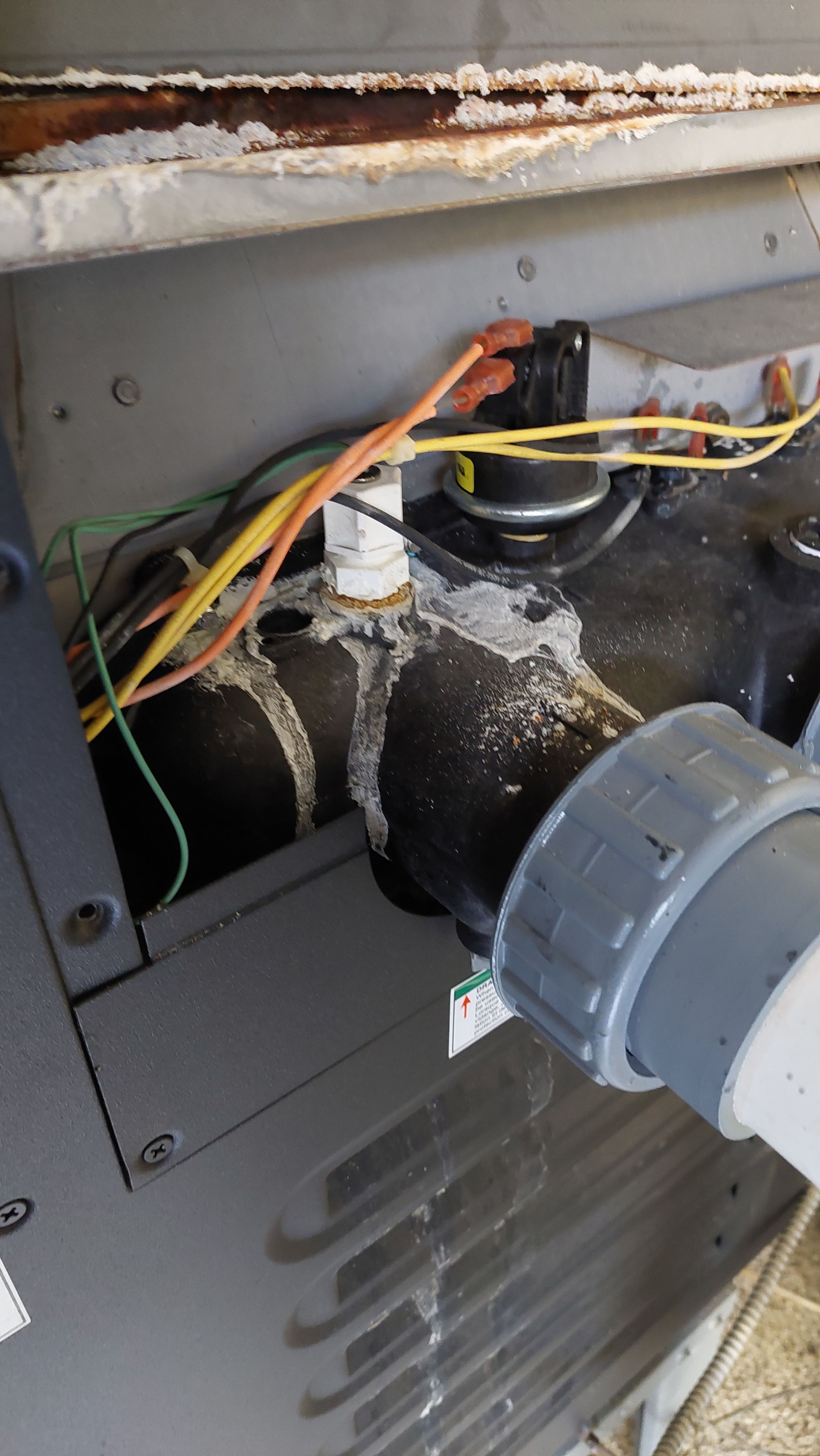 Puget Sound Pool Pros's image