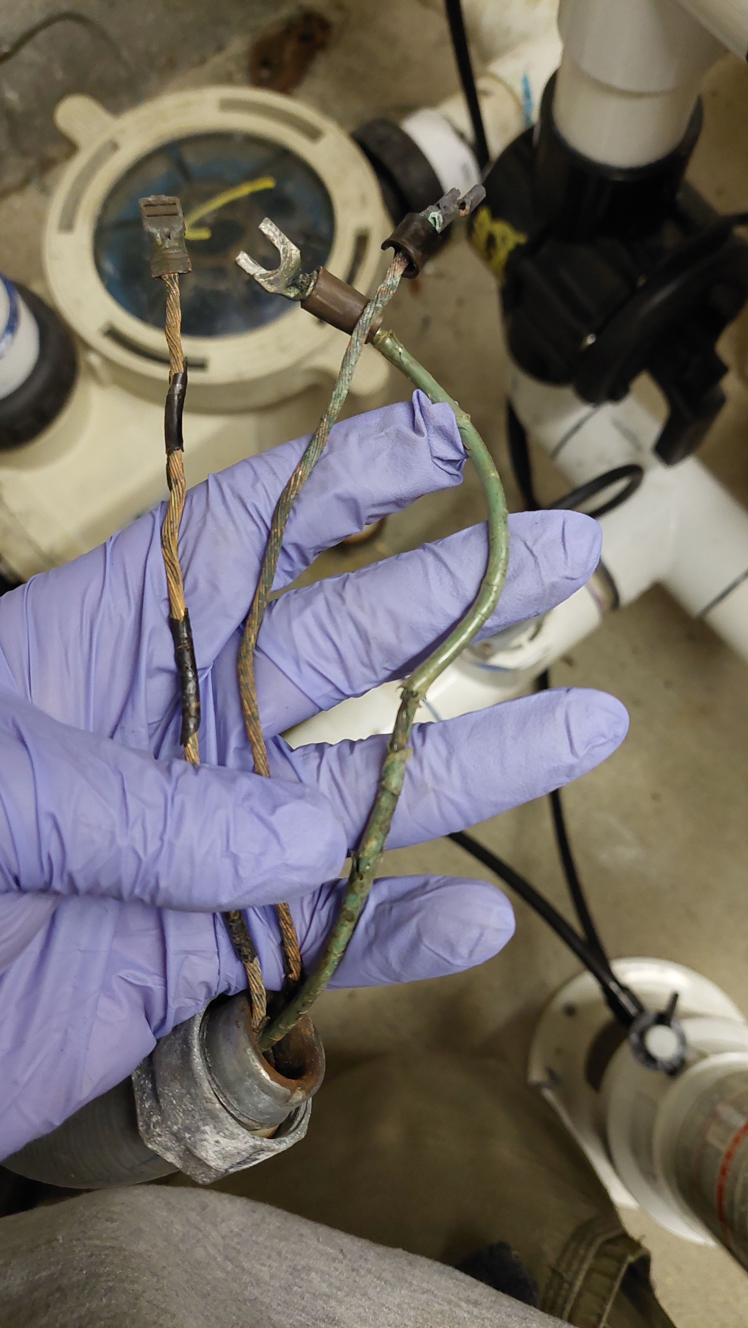 Puget Sound Pool Pros's image