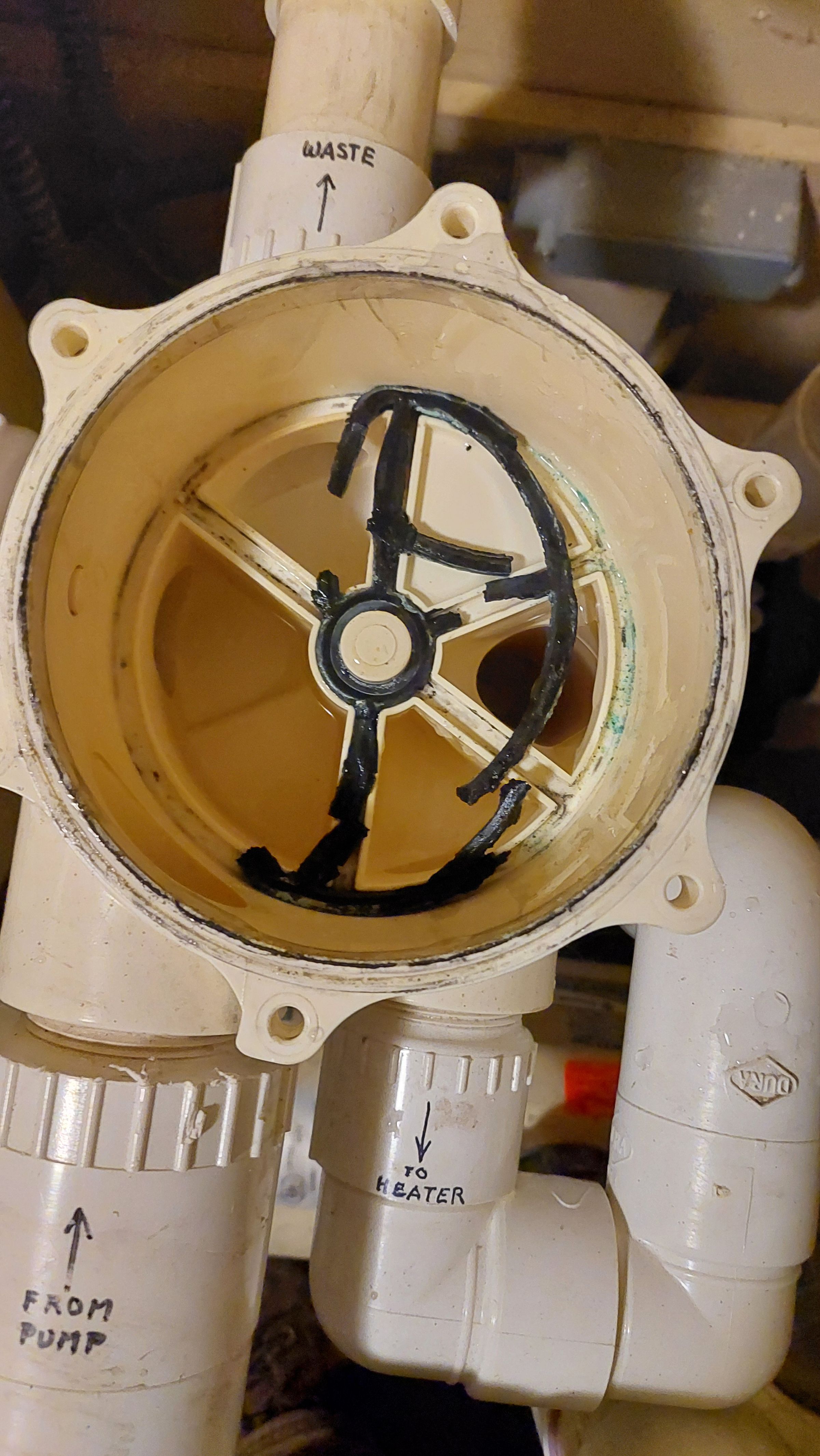 Puget Sound Pool Pros's image