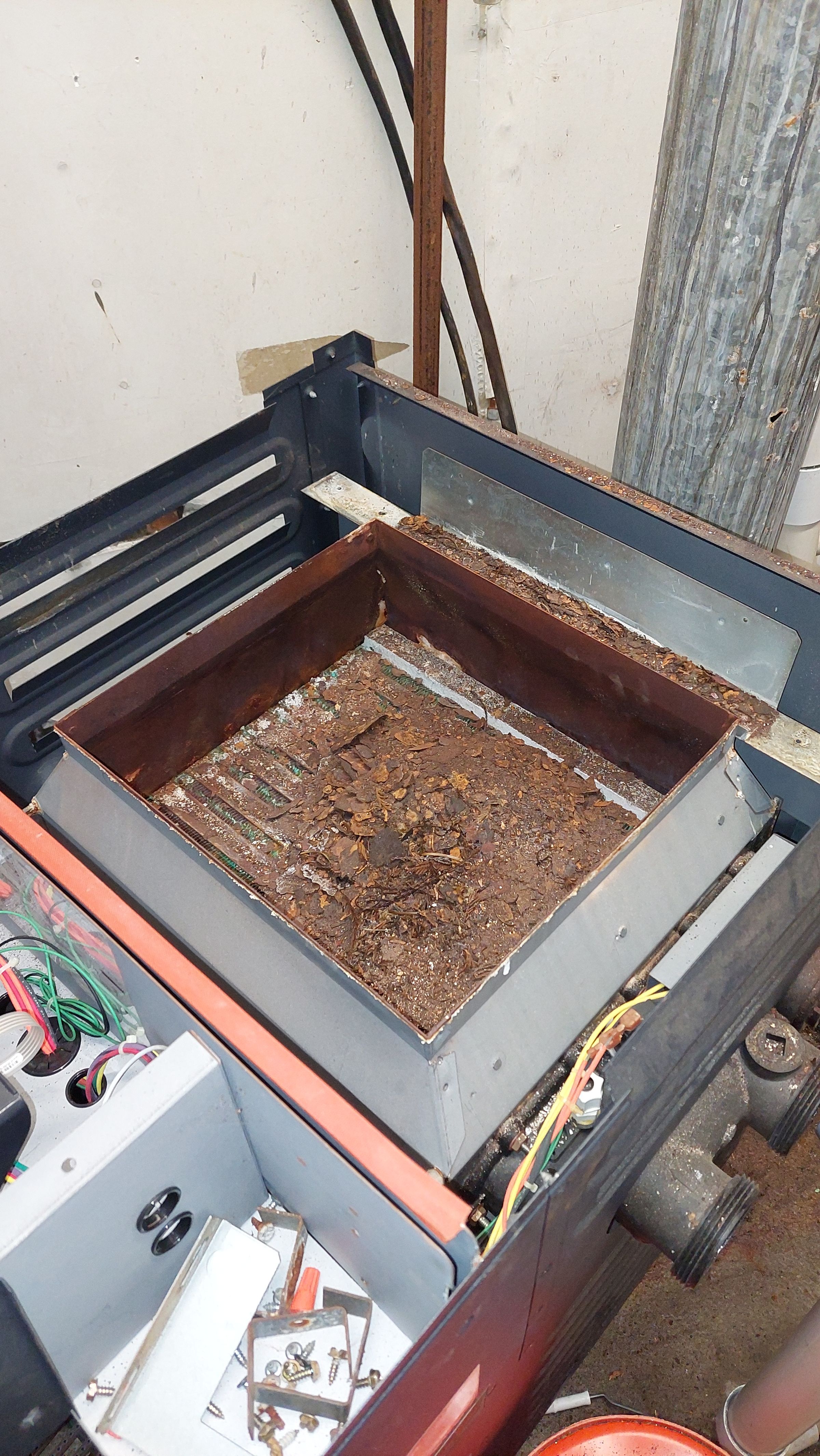 Puget Sound Pool Pros's image