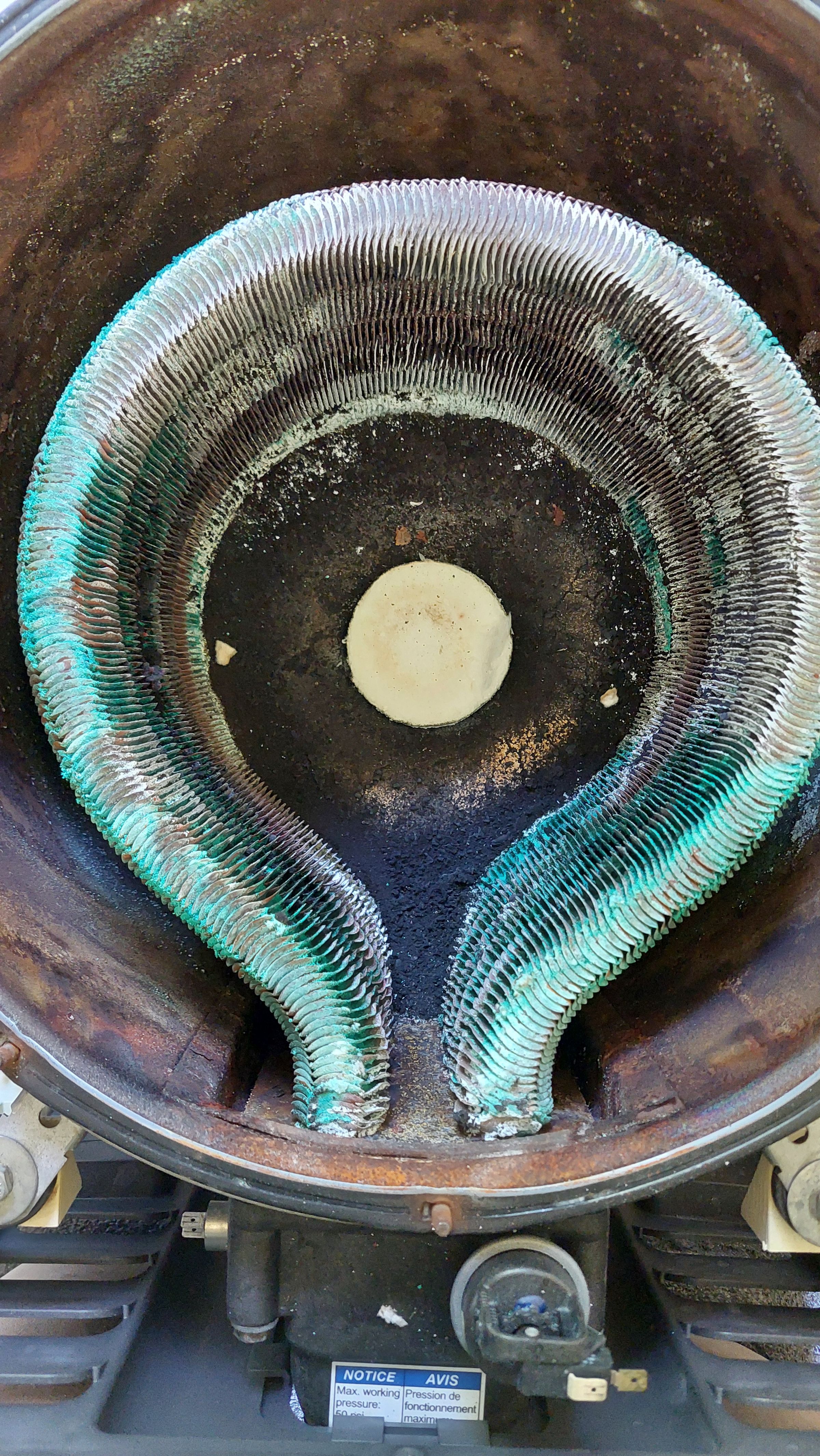 Puget Sound Pool Pros's image