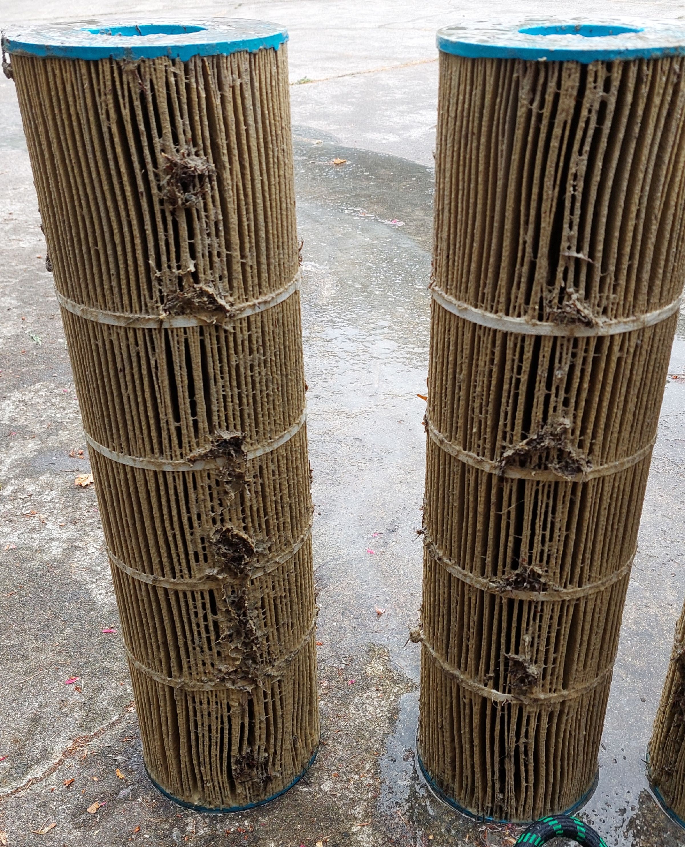 Puget Sound Pool Pros's image