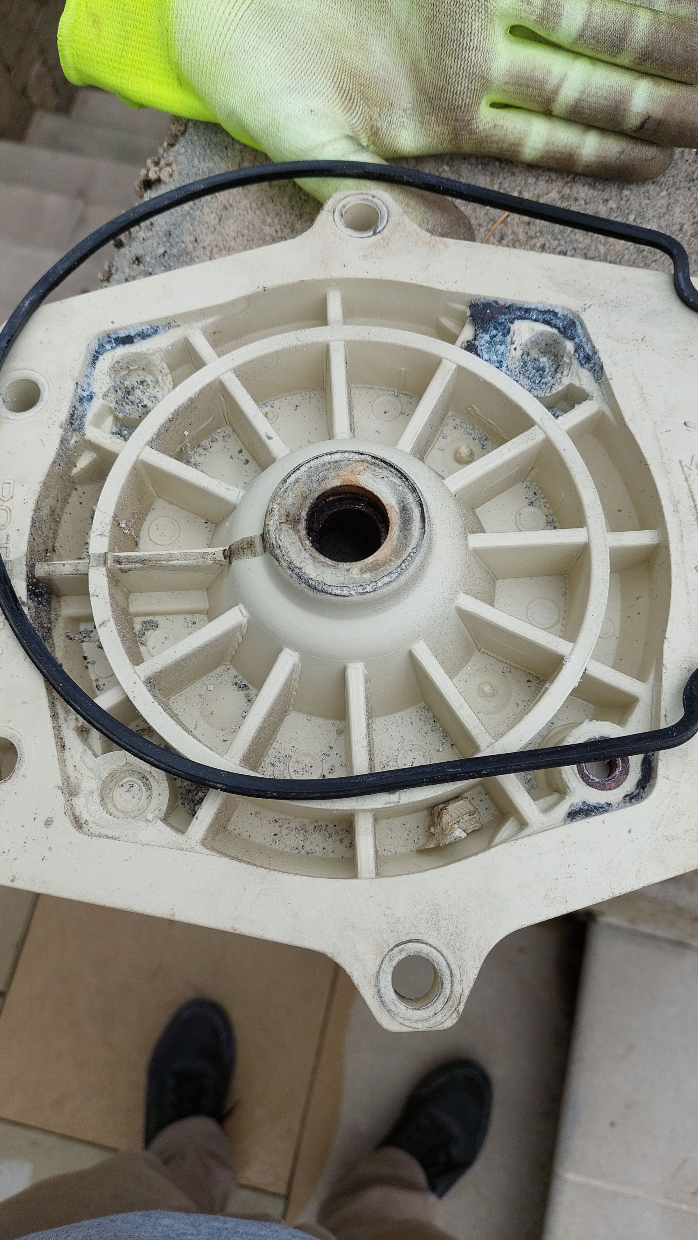 Puget Sound Pool Pros's image