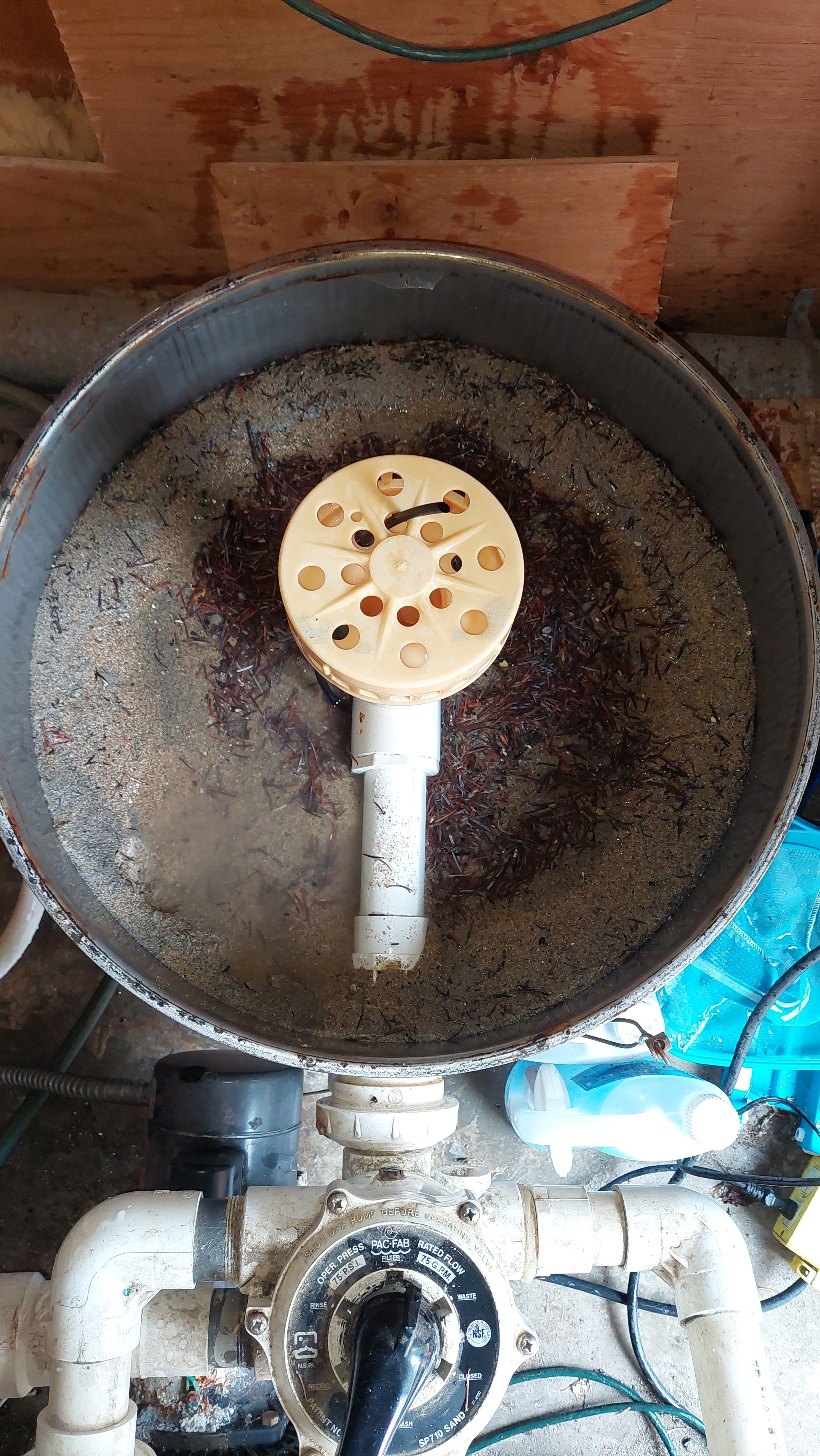 Puget Sound Pool Pros's image