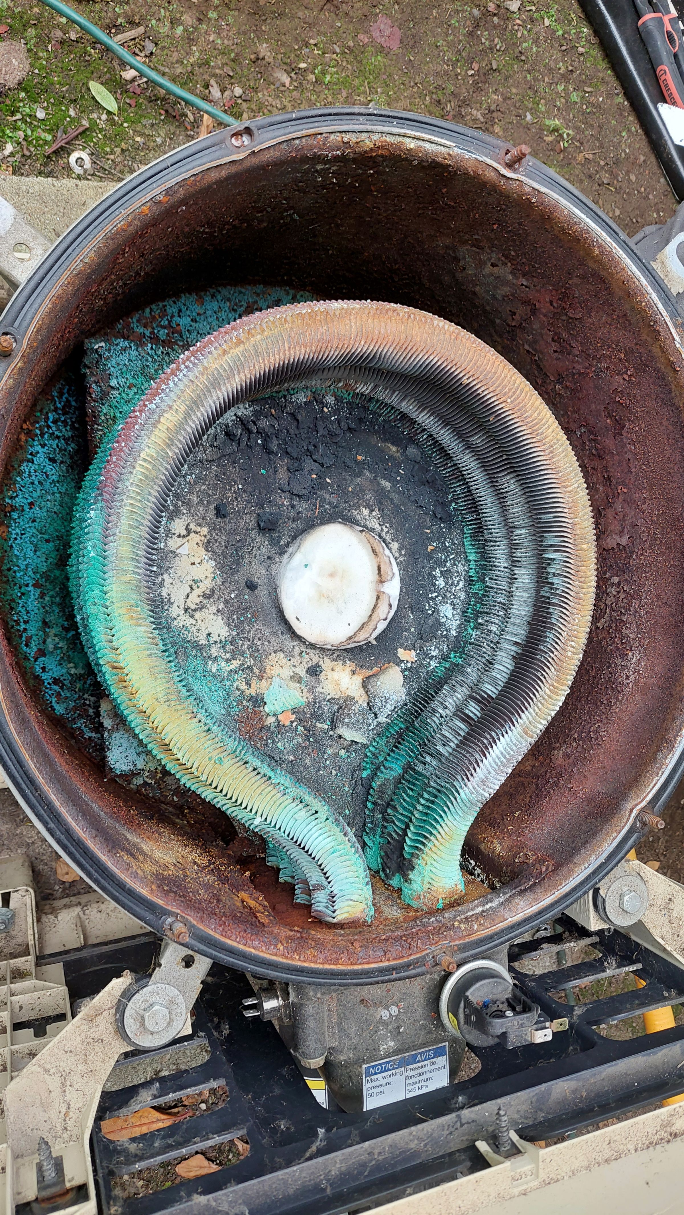 Puget Sound Pool Pros's image