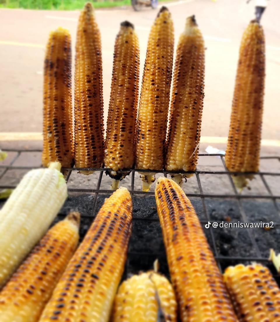 Maize guy Kenya's image