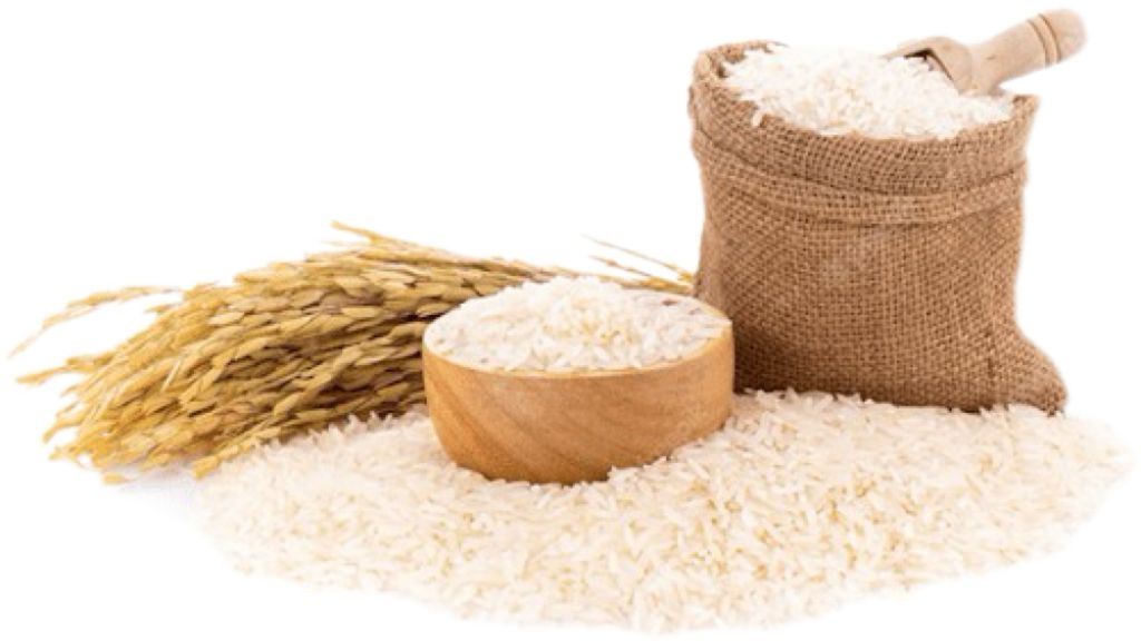 Bait Al Hafsa Foodstuff Trading's image