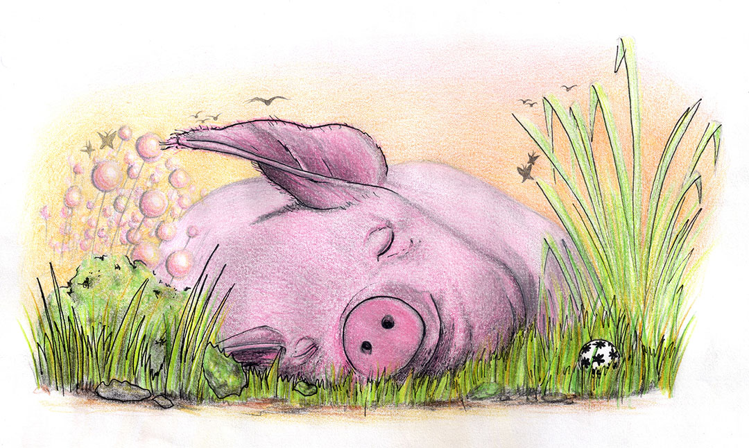 Martin Demeter | Illustrator & Artist's image