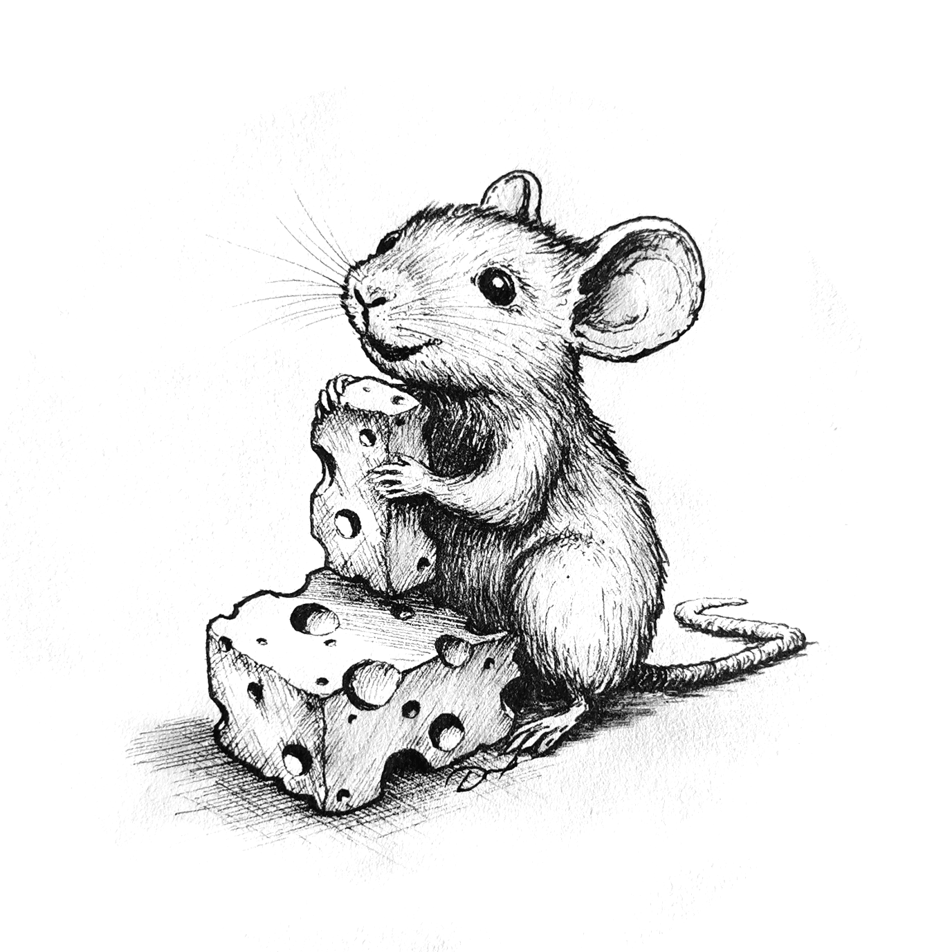 Martin Demeter | Illustrator & Artist's image