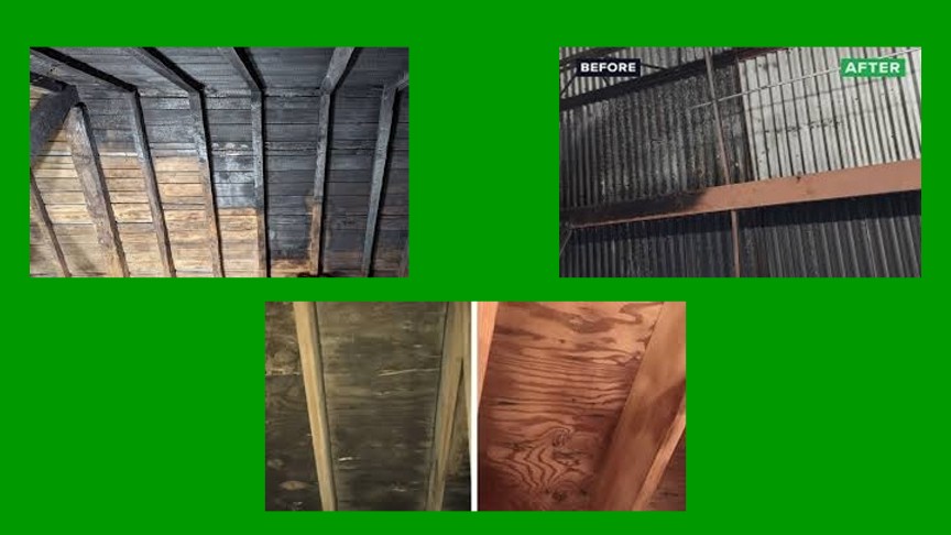 Mobile Dust Free Blasting LLC's image