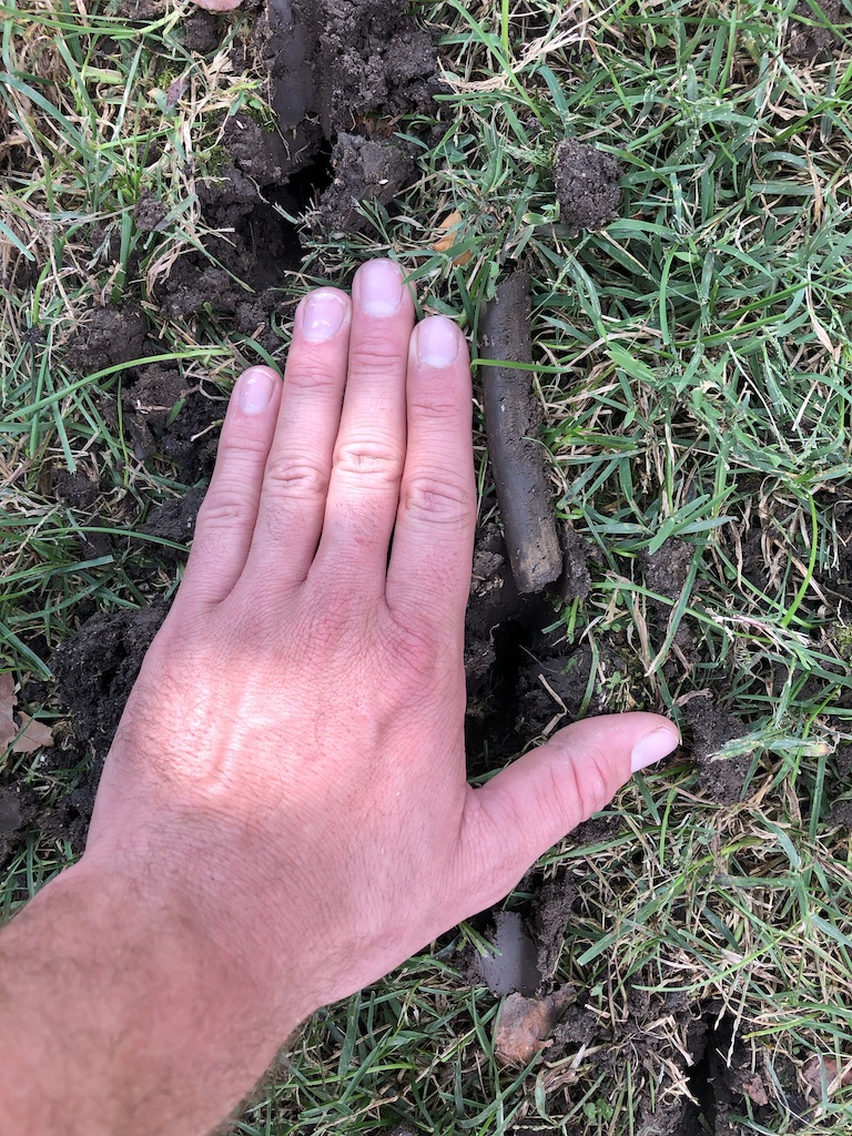 The Groundsmen 's image
