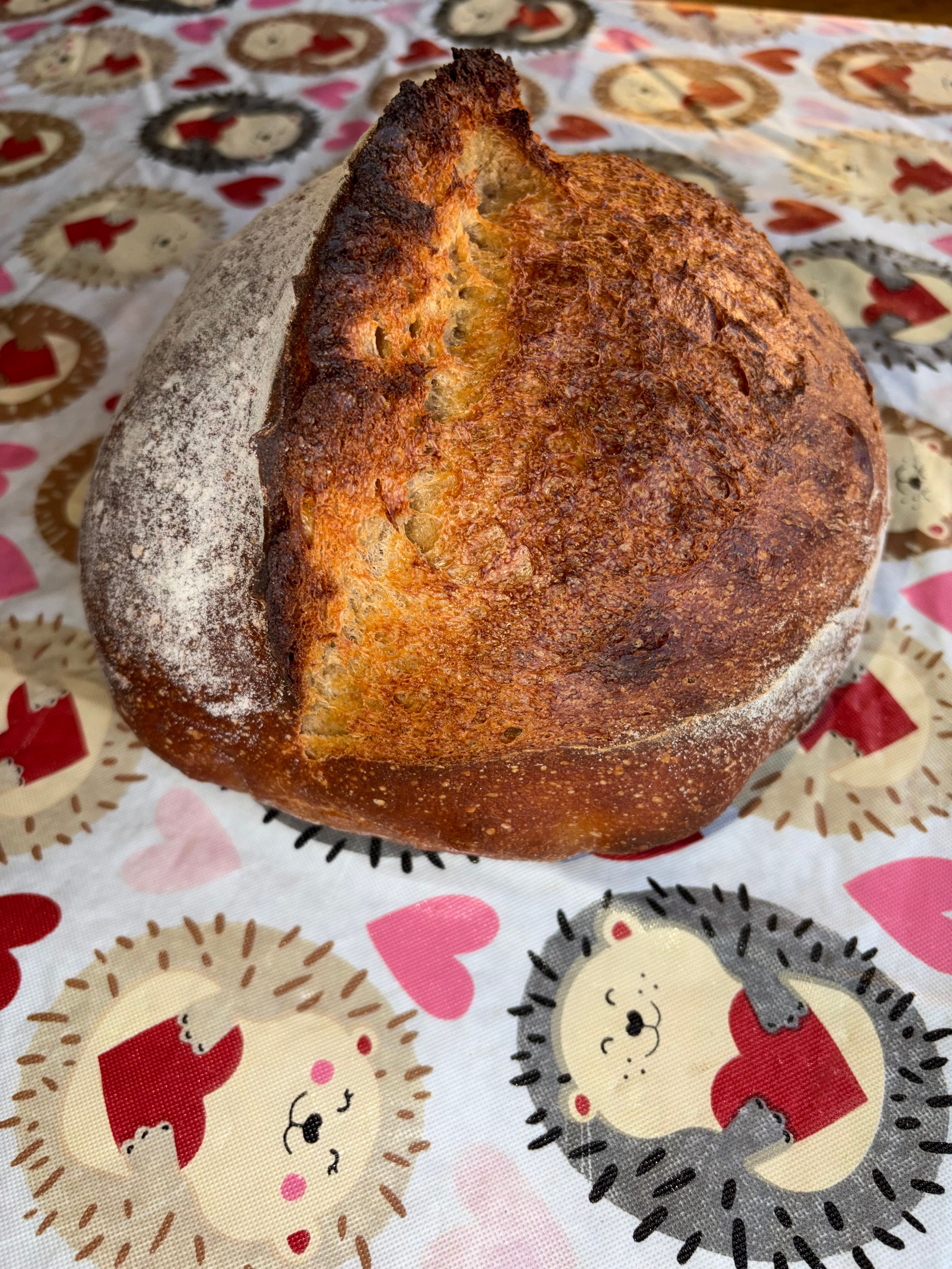 Good Bread, LLC's image