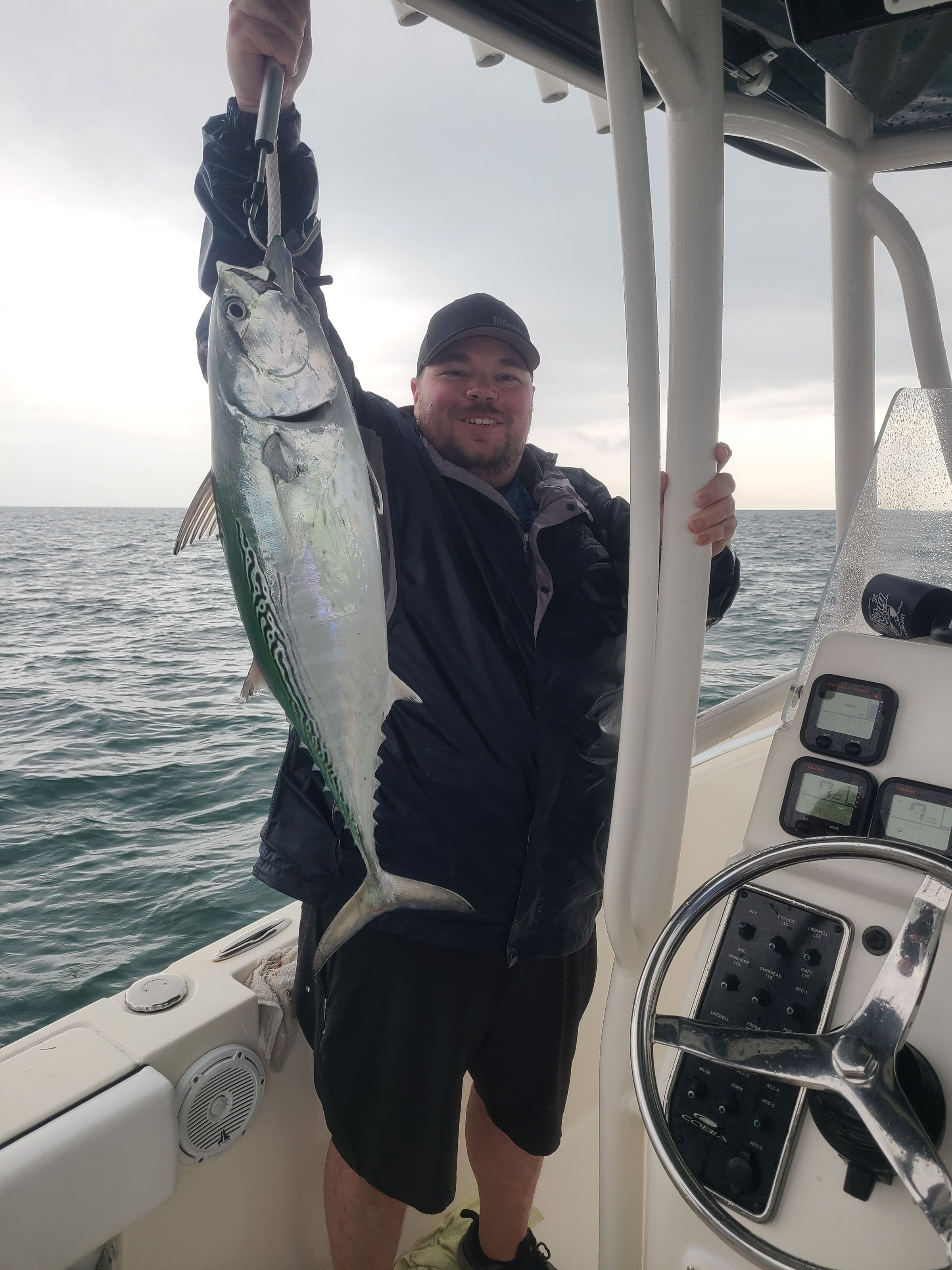 Captain dan morgan's image