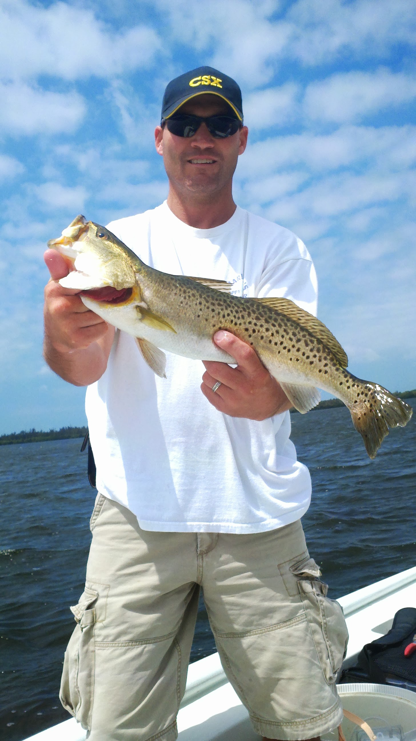 Captain dan morgan's image