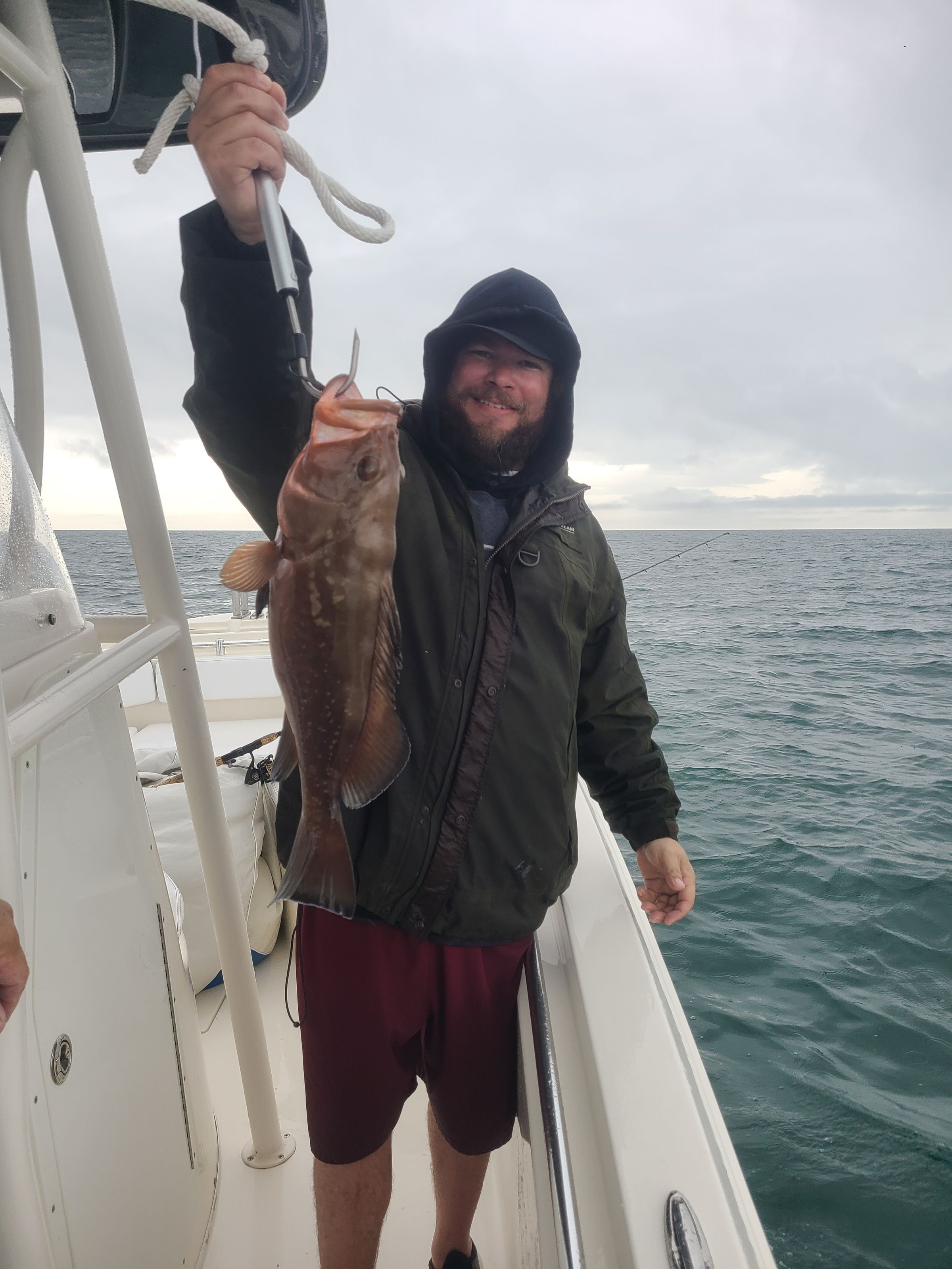 Captain dan morgan's image