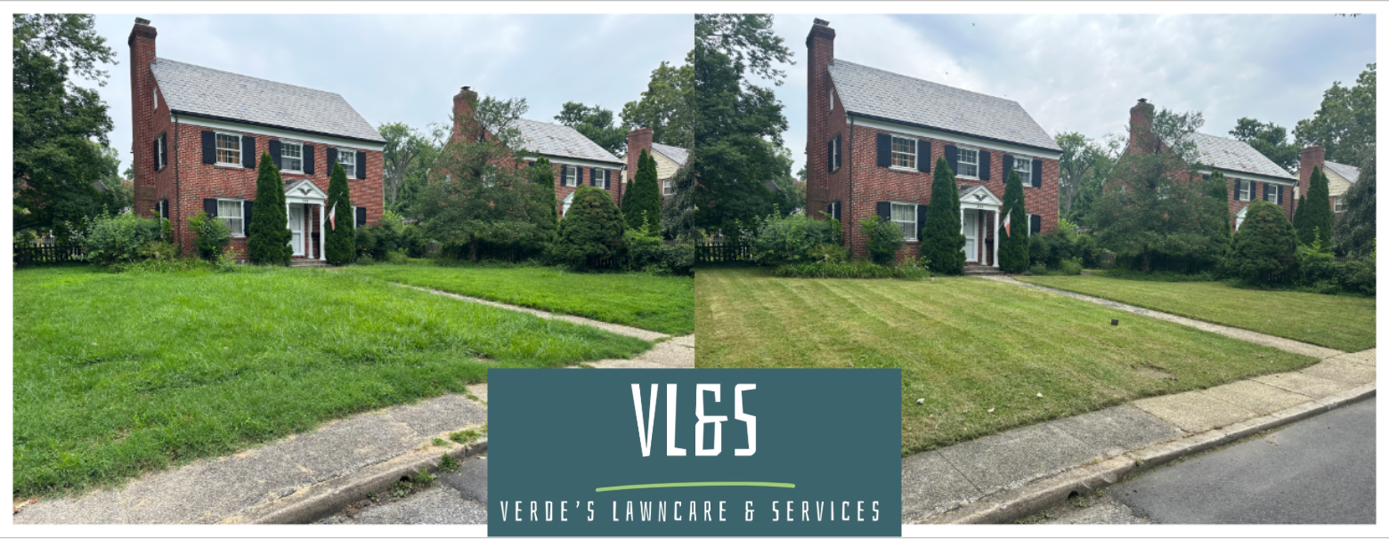 Verde’s Lawncare & Services 's image