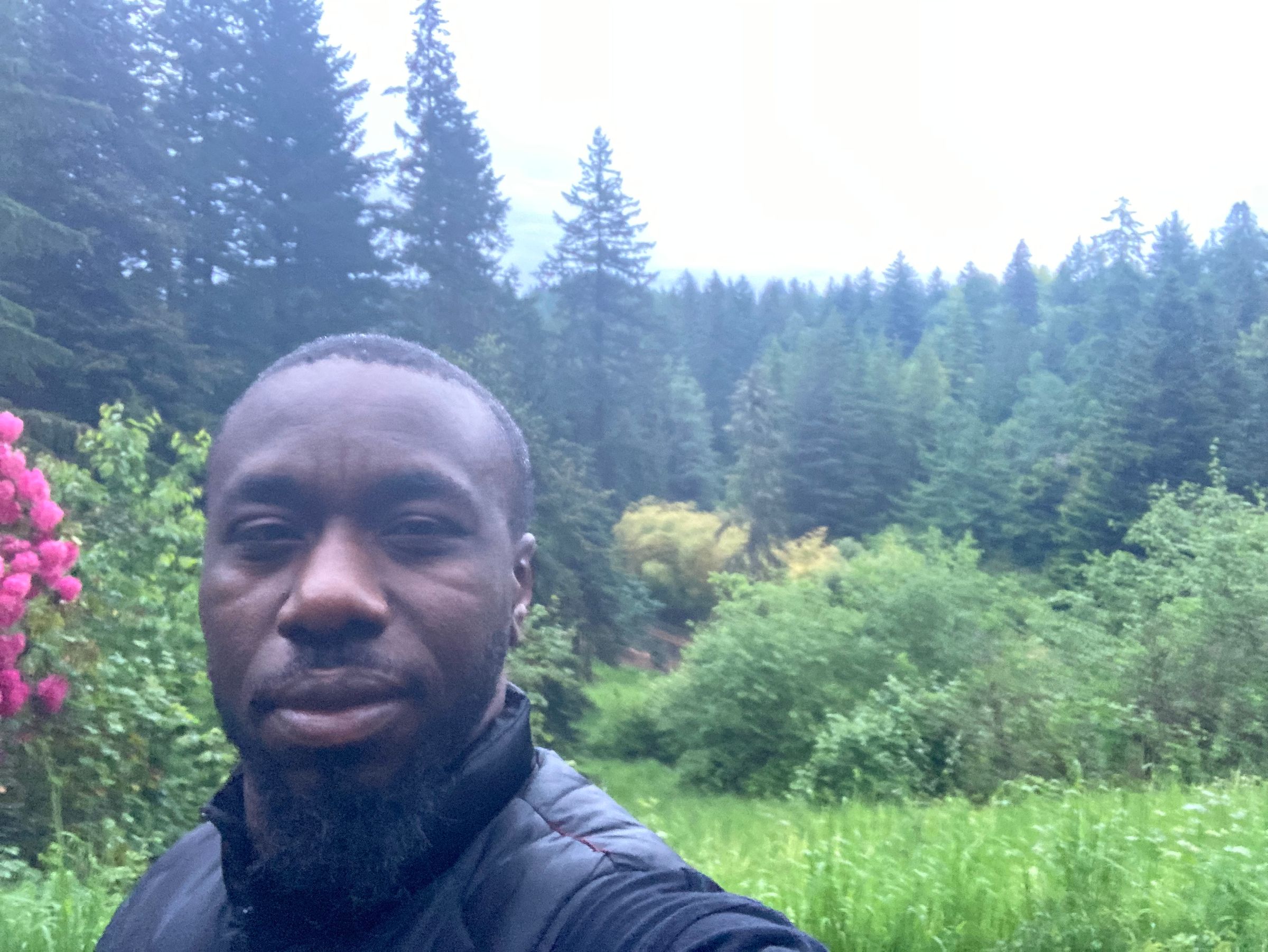 Verde’s Lawncare & Services 's image