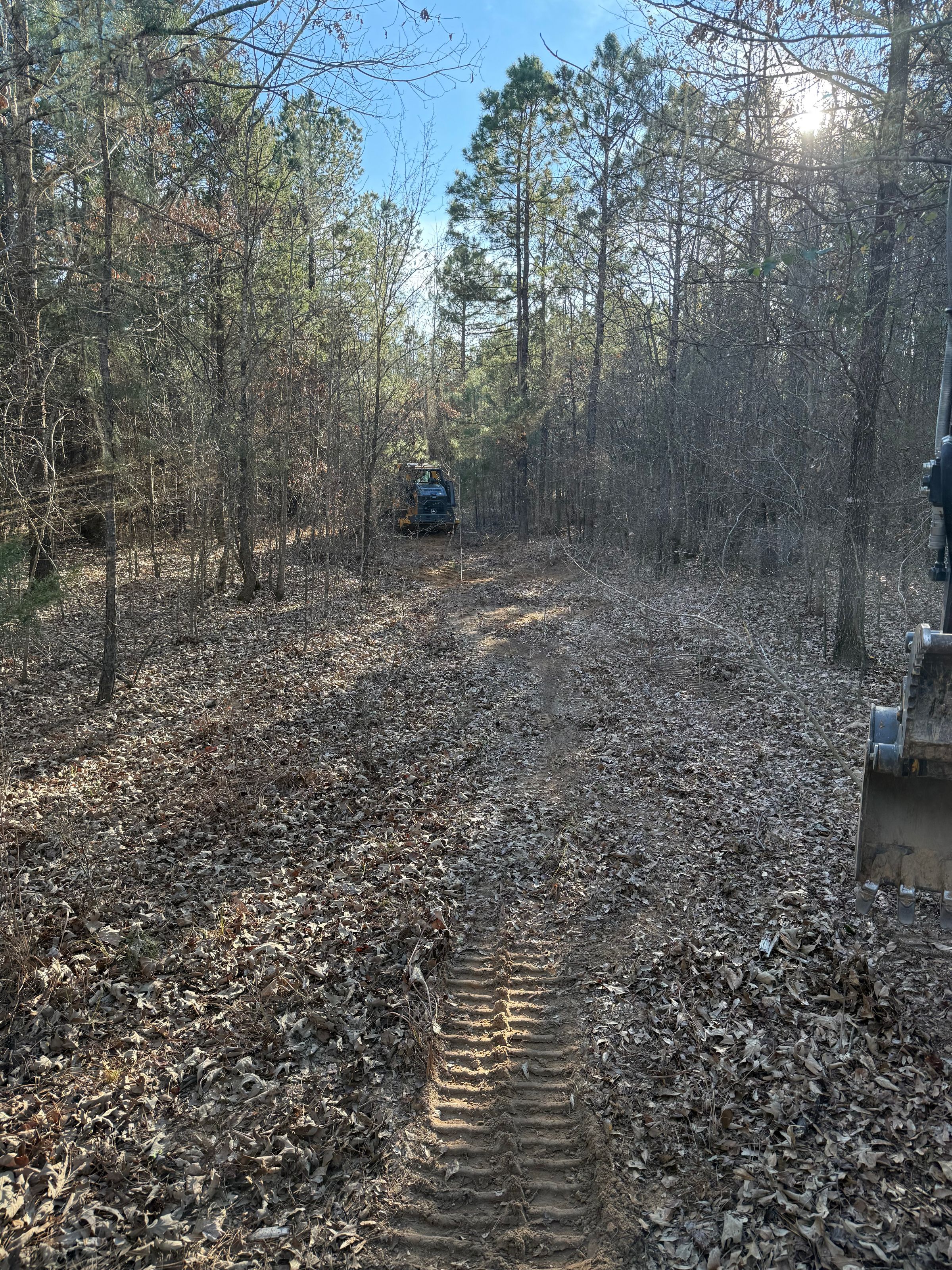 (Before) Road Clearing