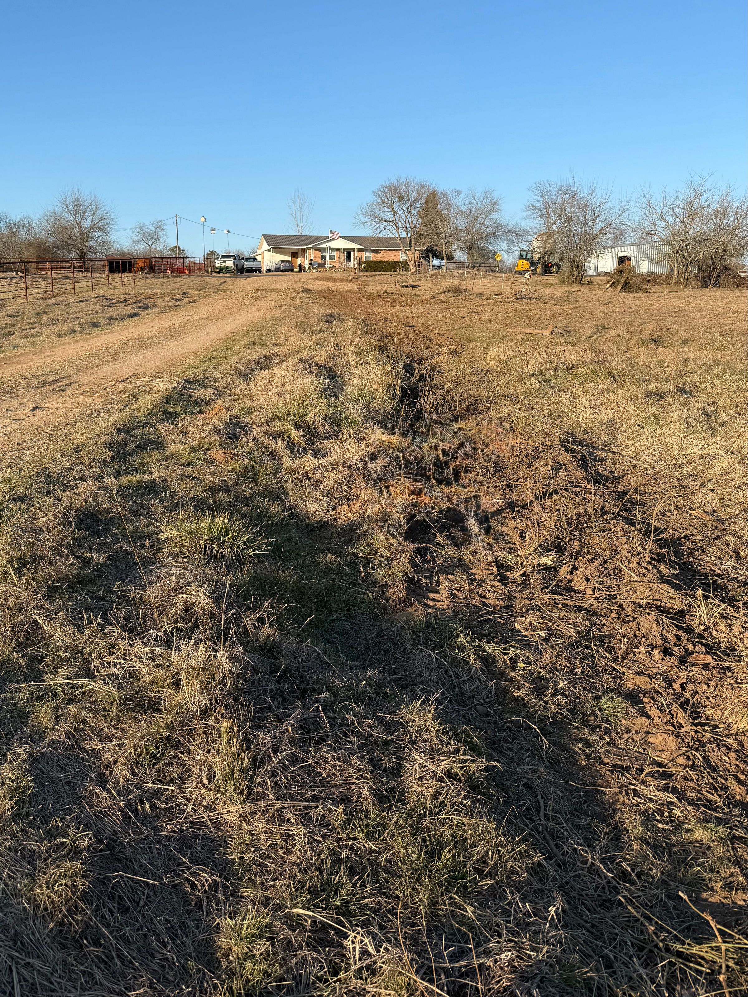 (After) Fence Clearing