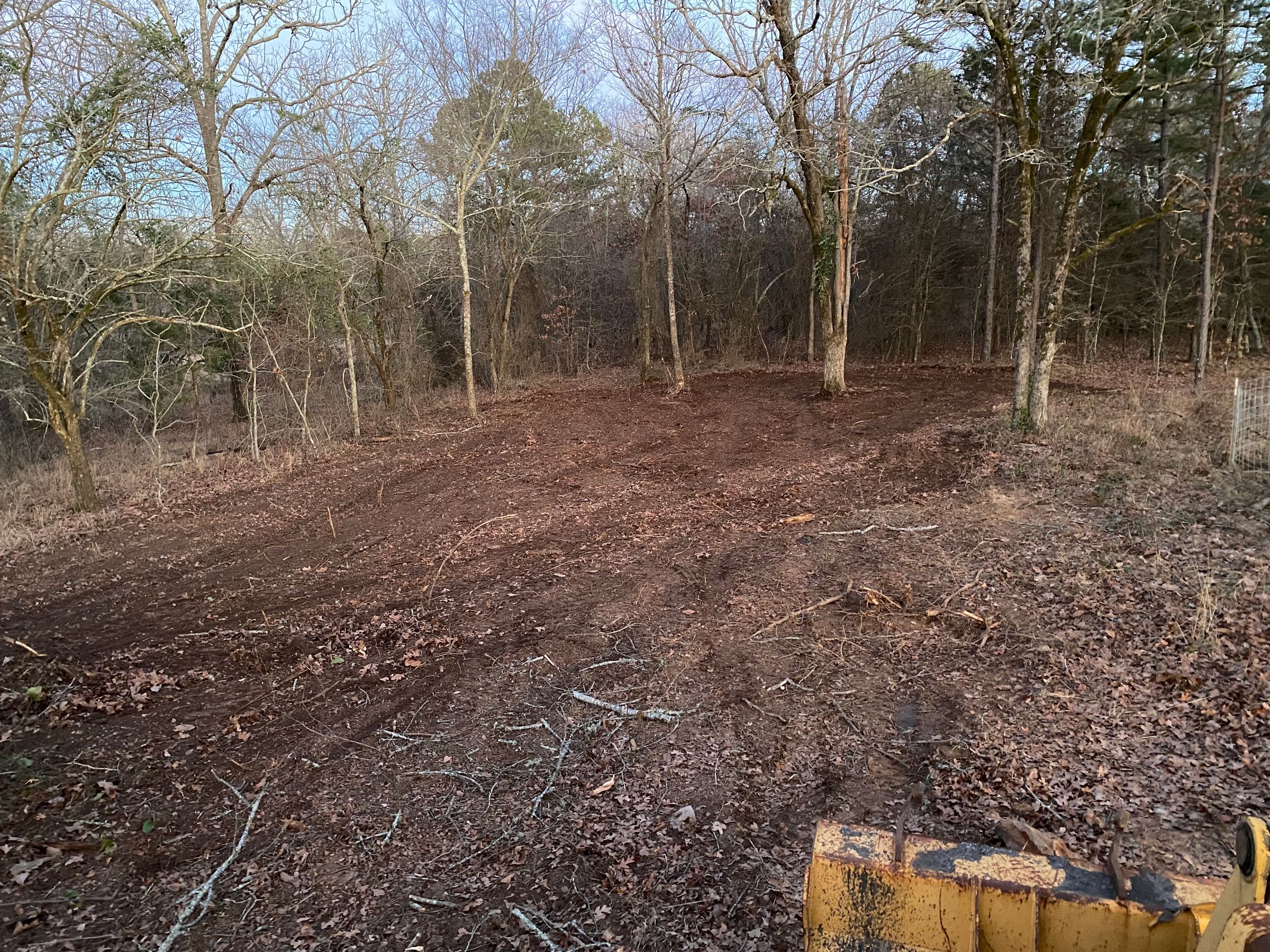 (After) Land Clearing 