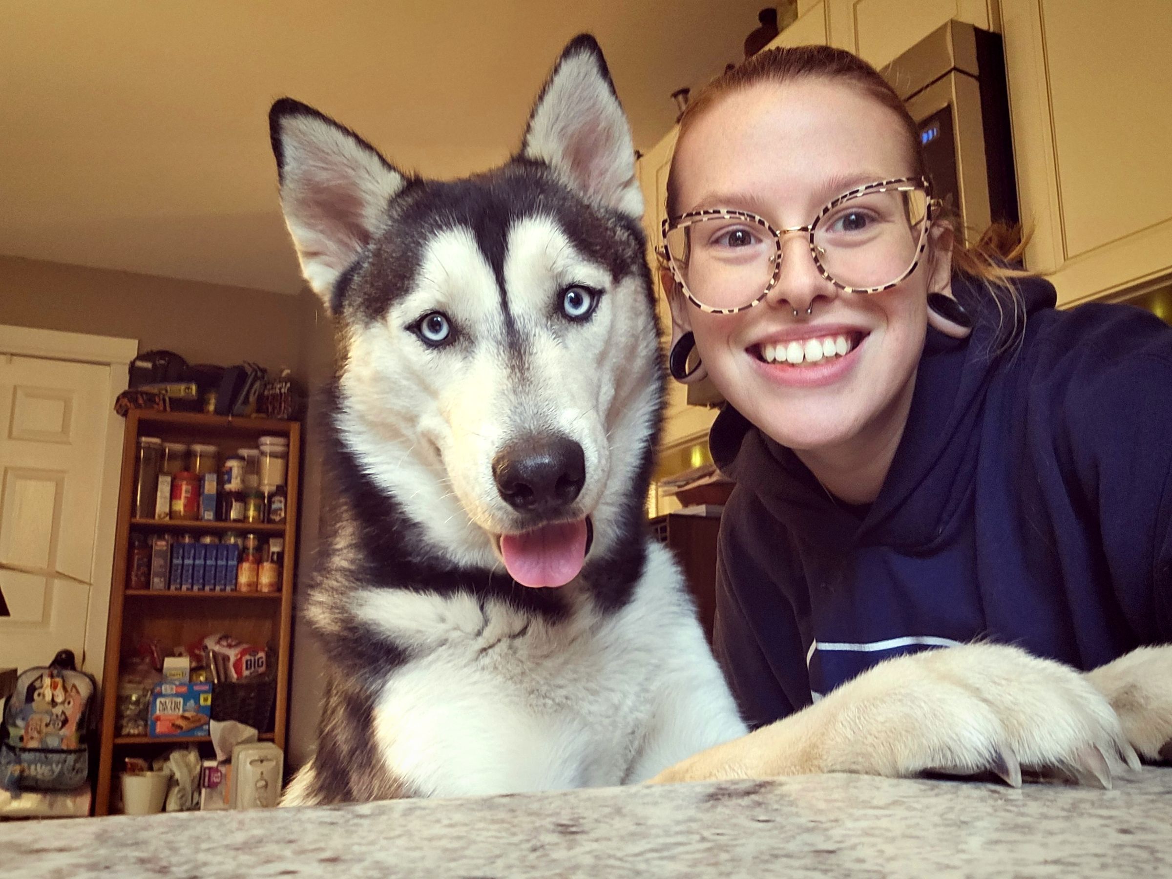 My boy "Atlas" Husky