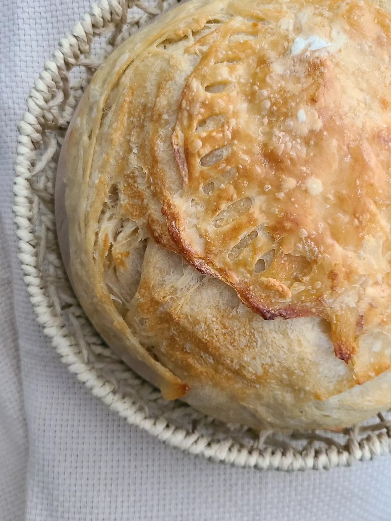 Croissant Sourdough