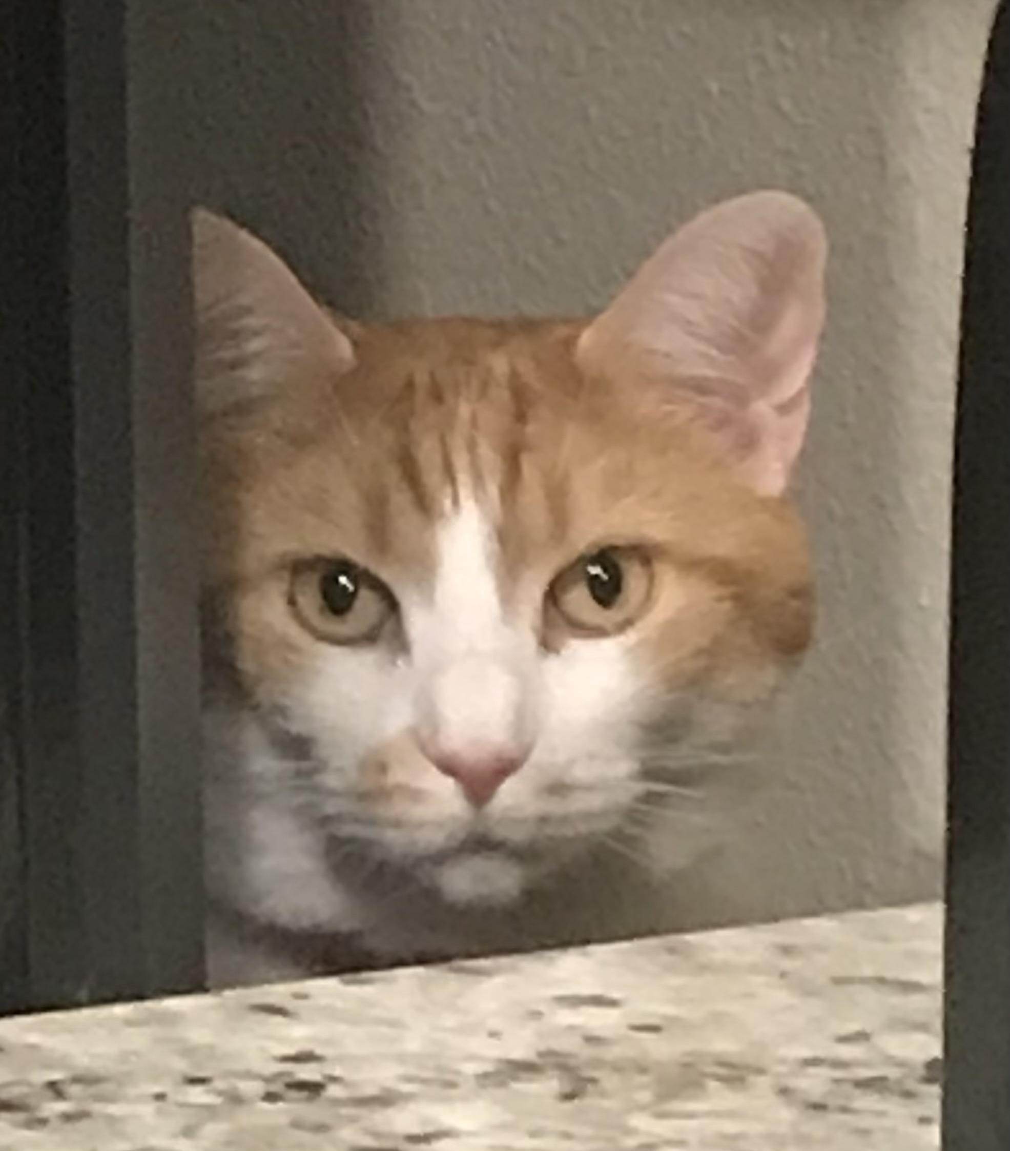 Shop supervisor 