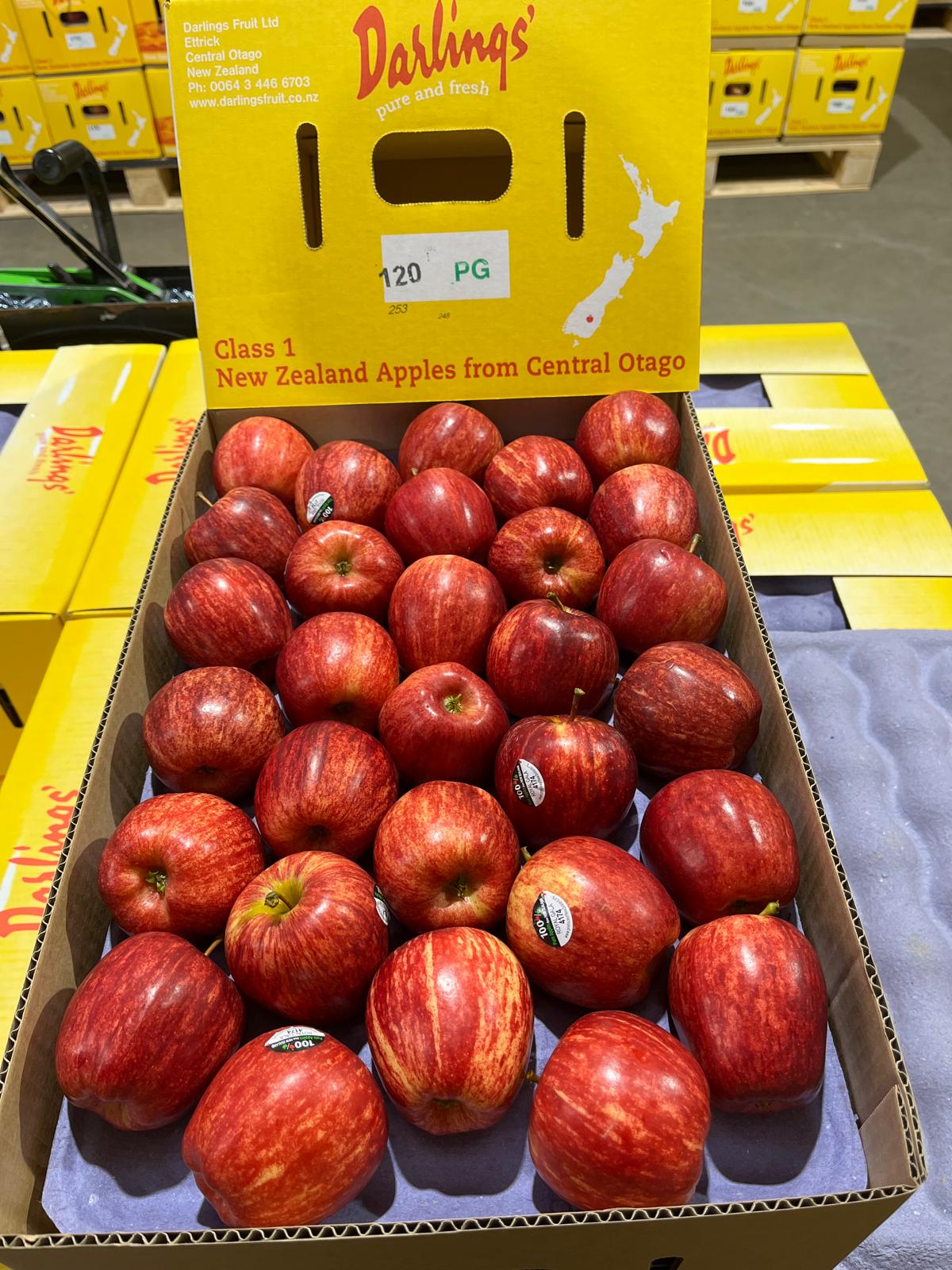 Darlings Fruit Imports - Spain's image