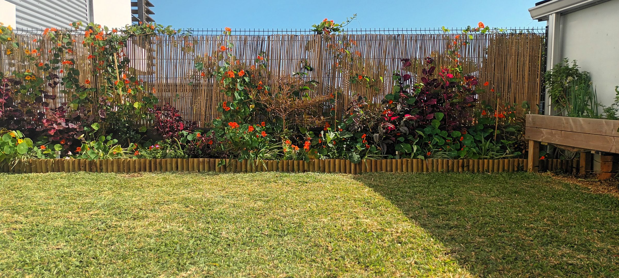 Mona Paysage's image