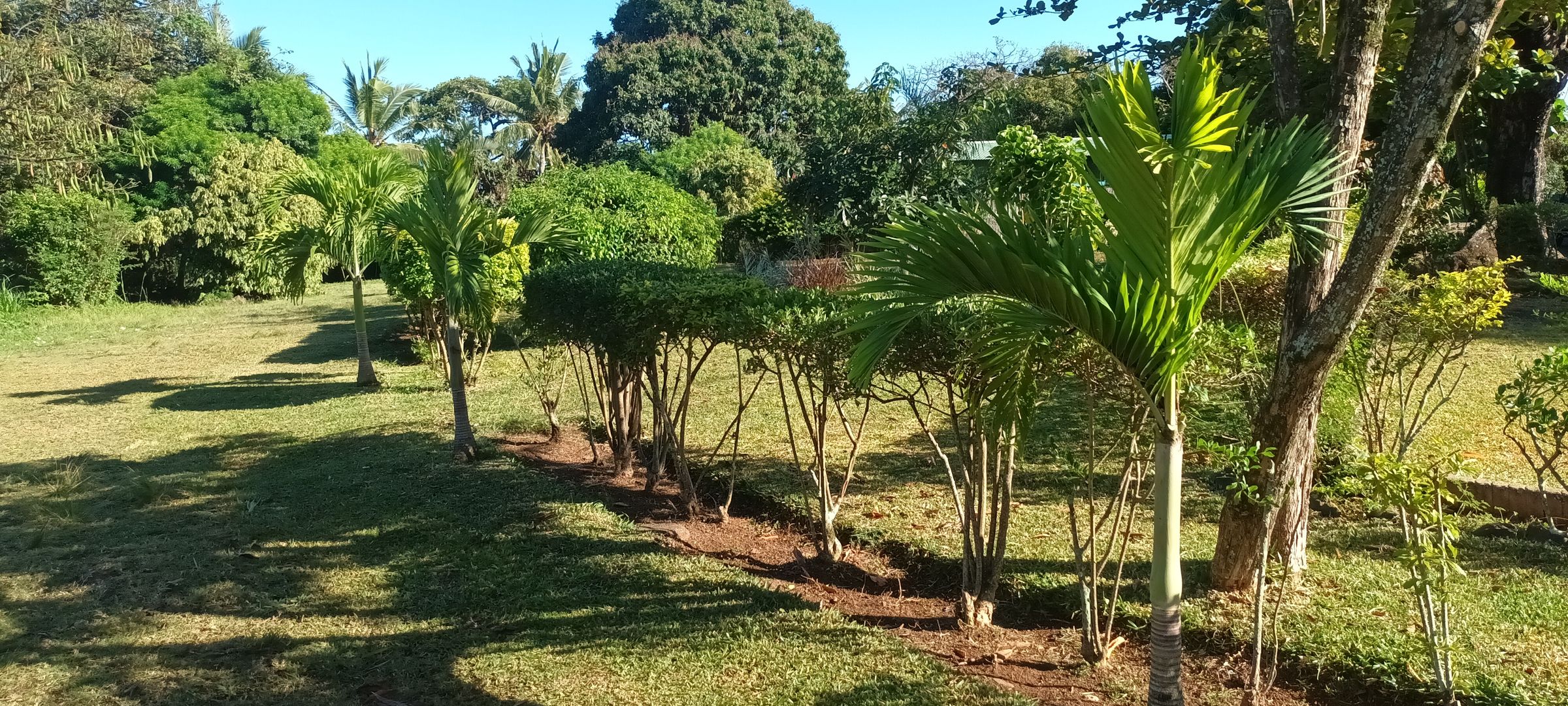 Mona Paysage's image