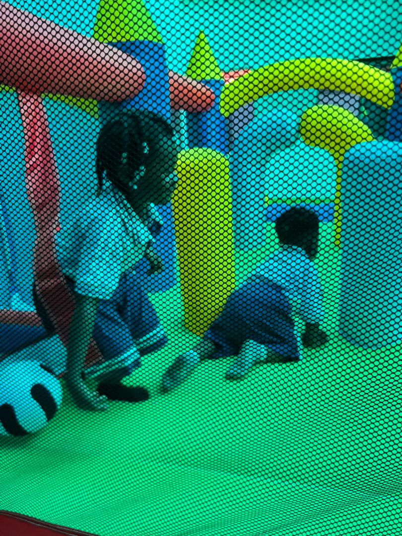 Learning through Play