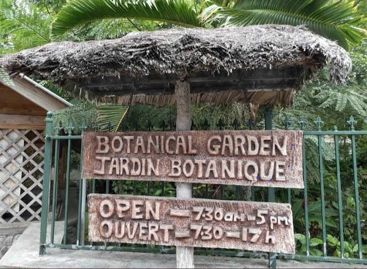 Taxi Service 's image