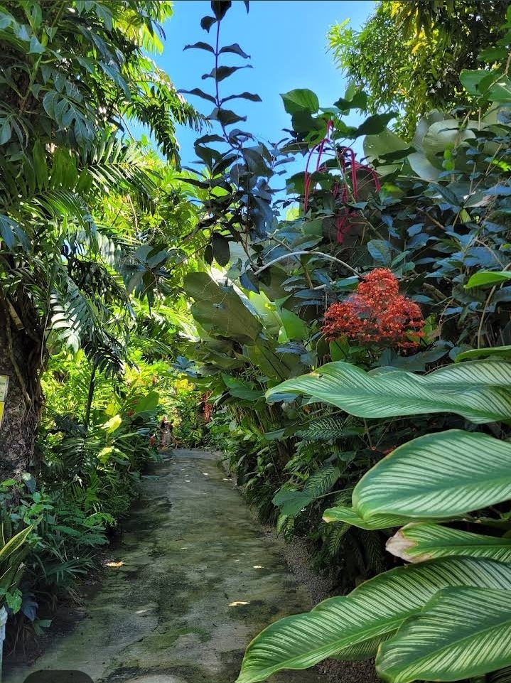 Taxi Service 's image