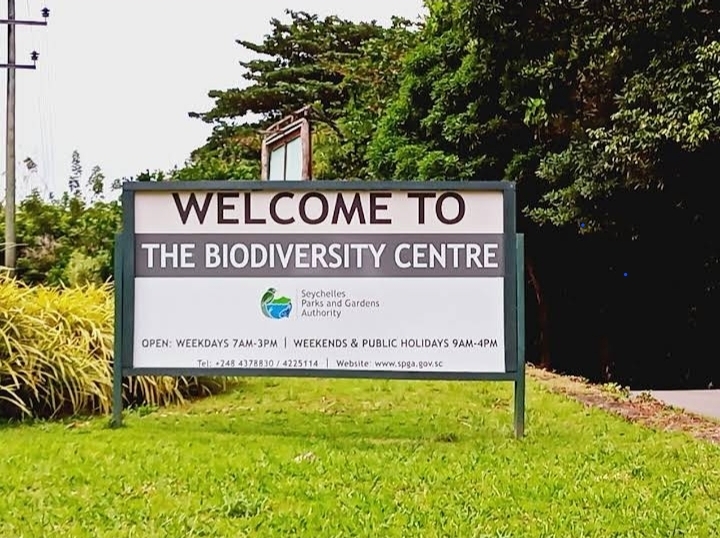 Taxi Service 's image