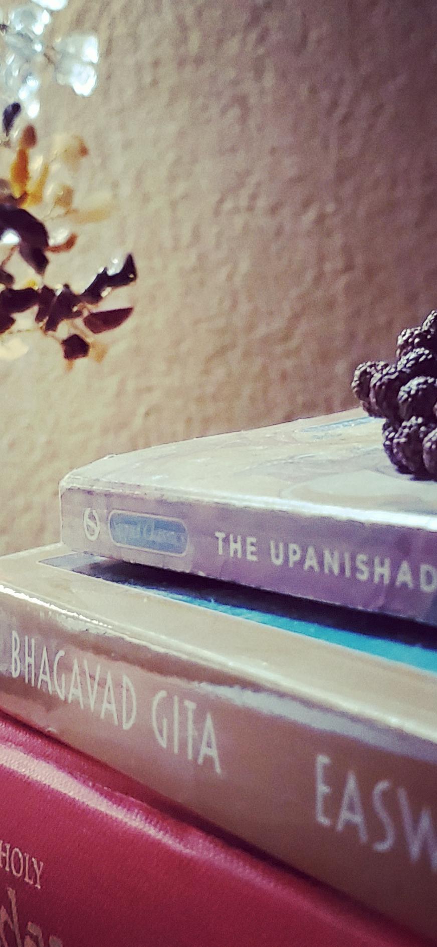 Pahana Earth and Sky's image