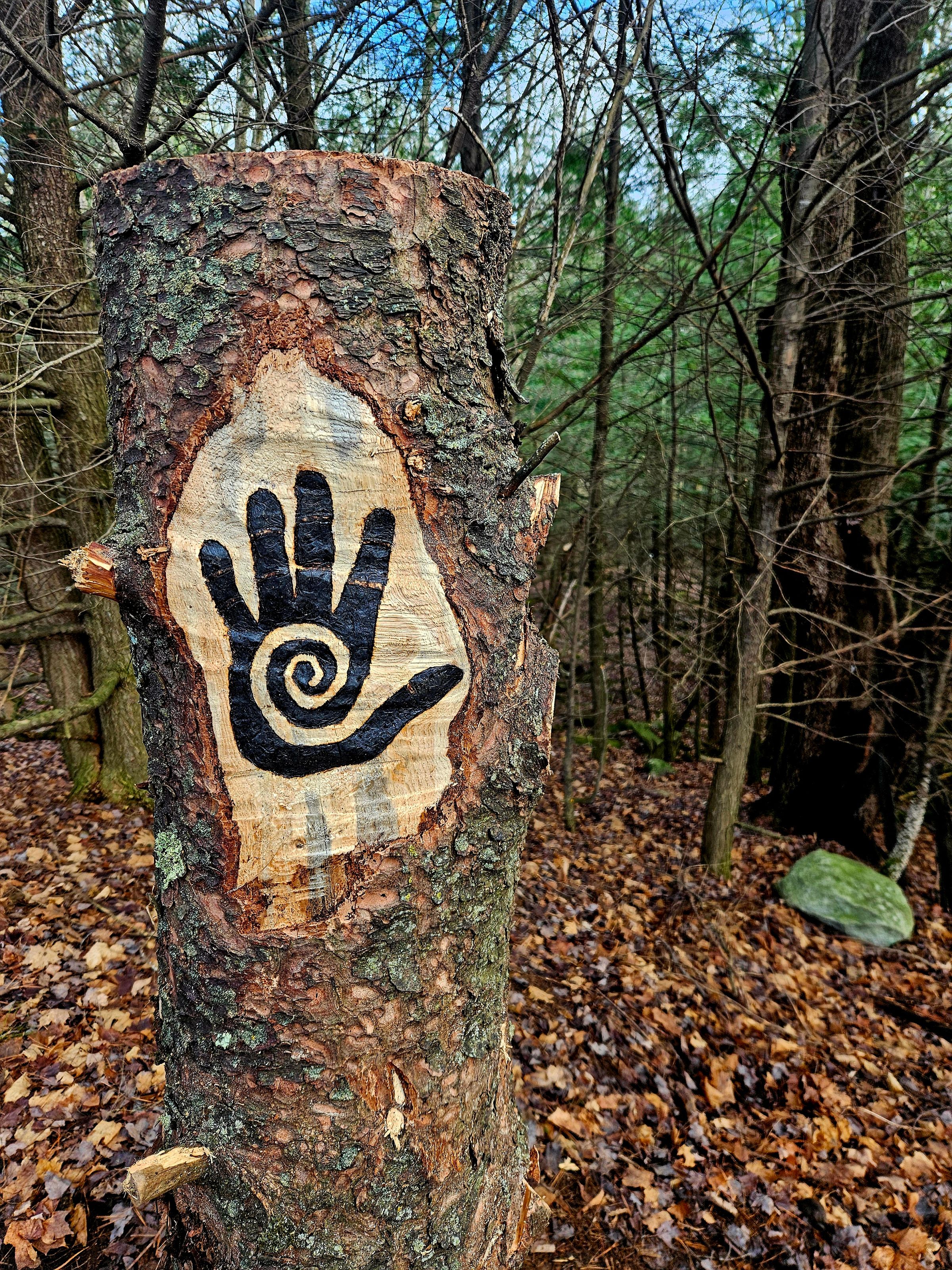 Pahana Earth and Sky's image