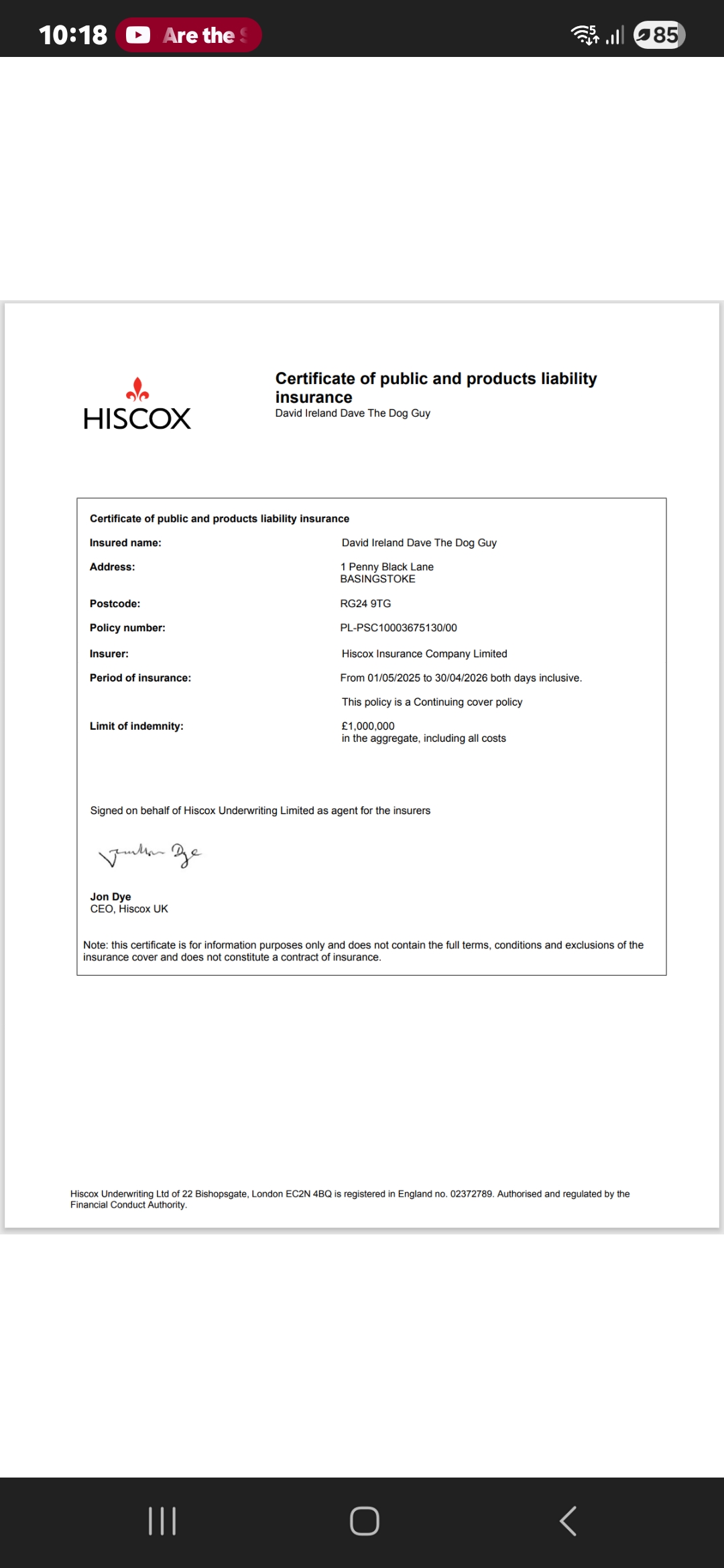 Dave The Dog Guy's image