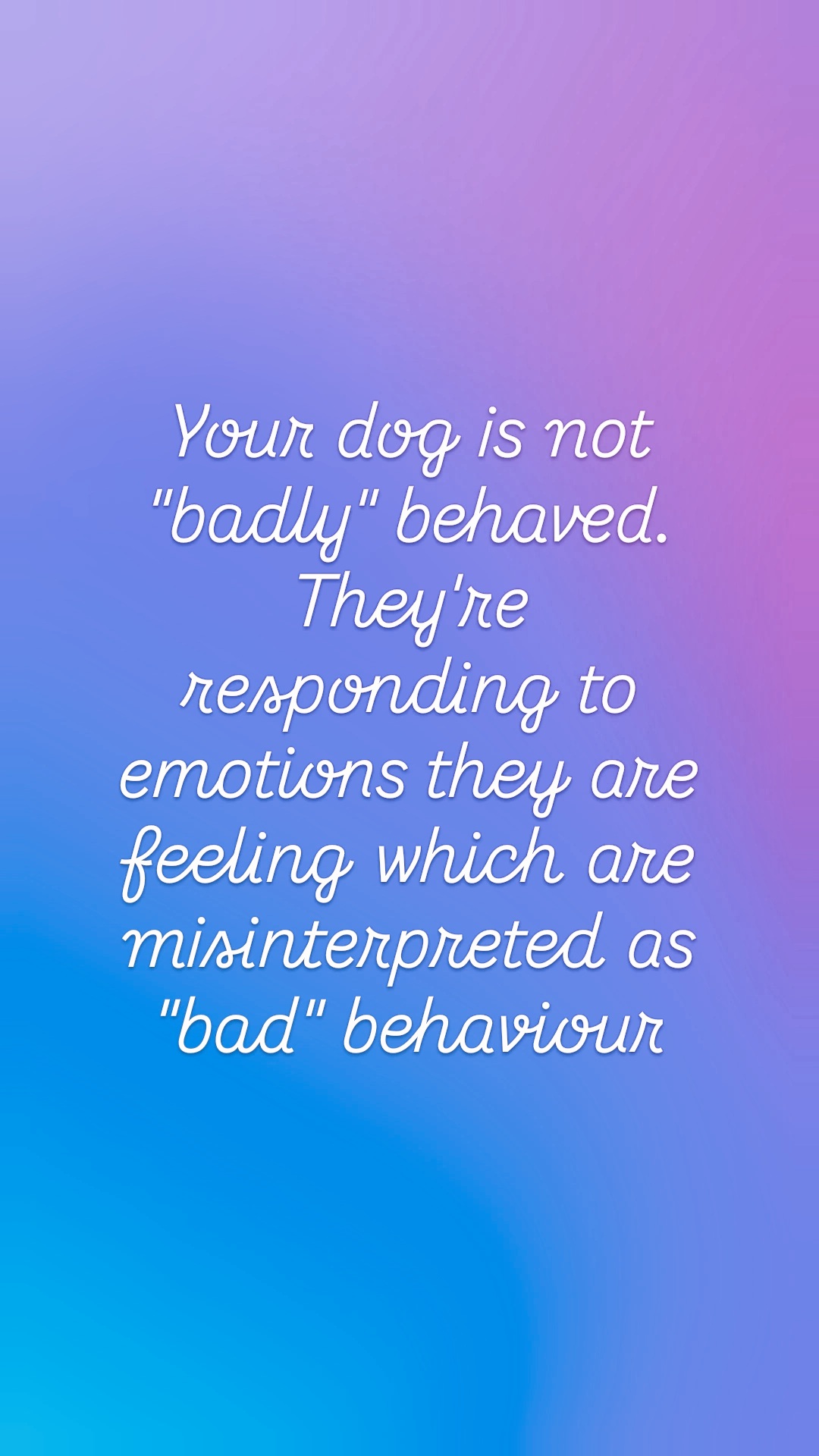 Dave The Dog Guy's image