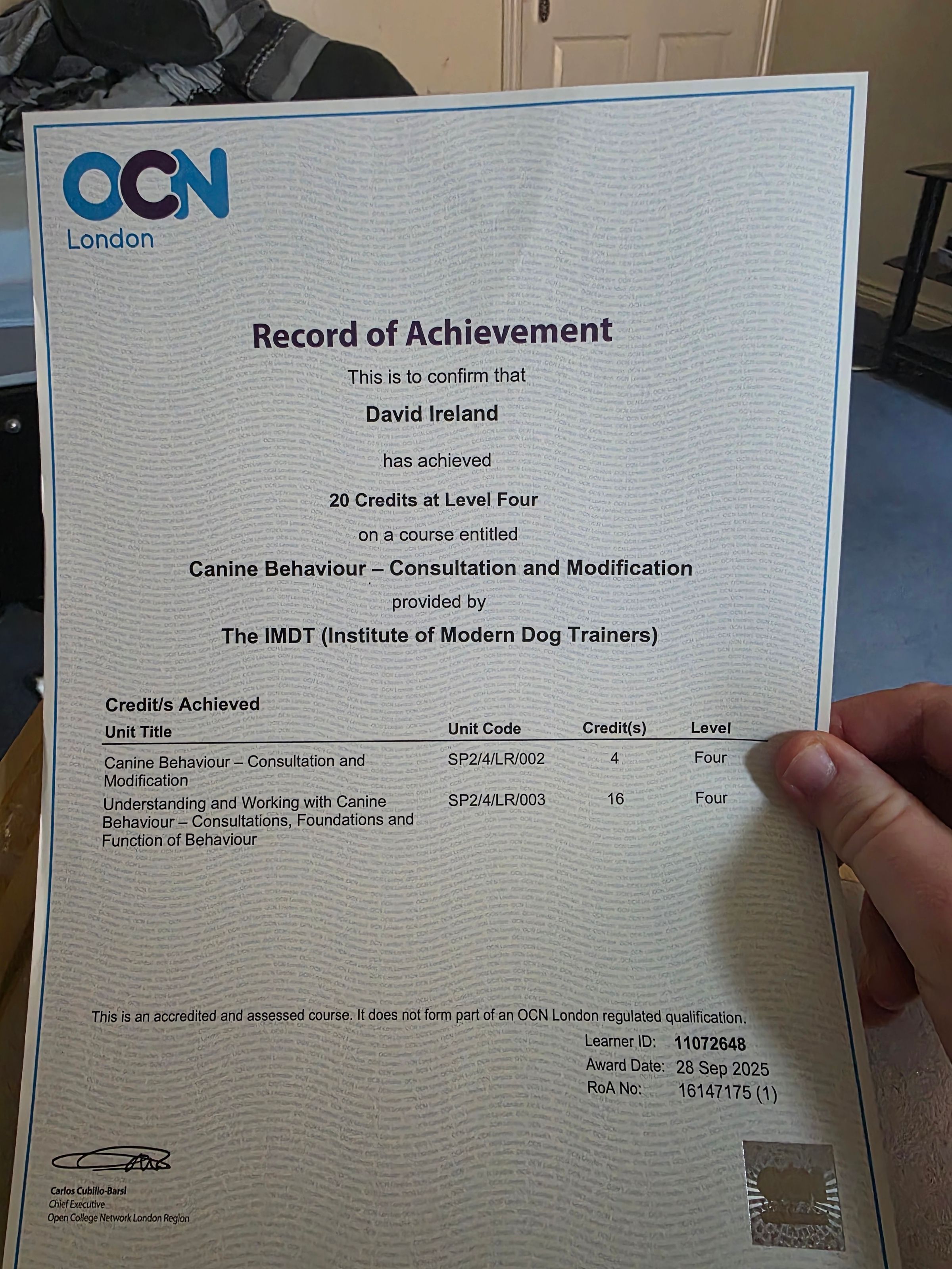 Dave The Dog Guy's image