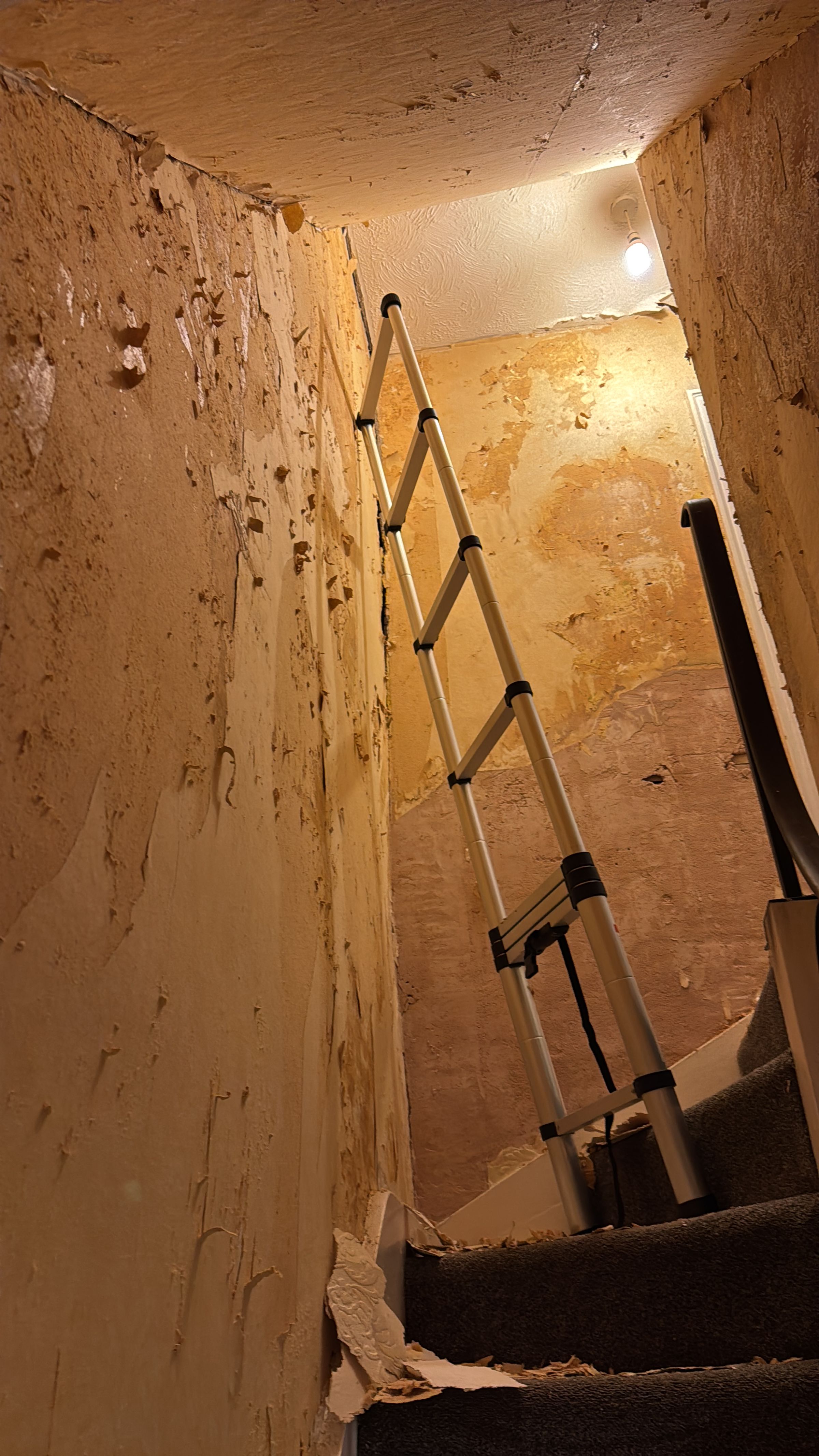 RYP Property Management - Hull's image