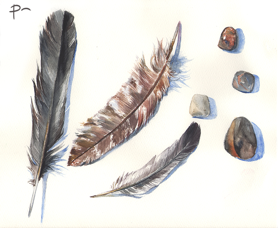 Aaron Pocock Illustration's image