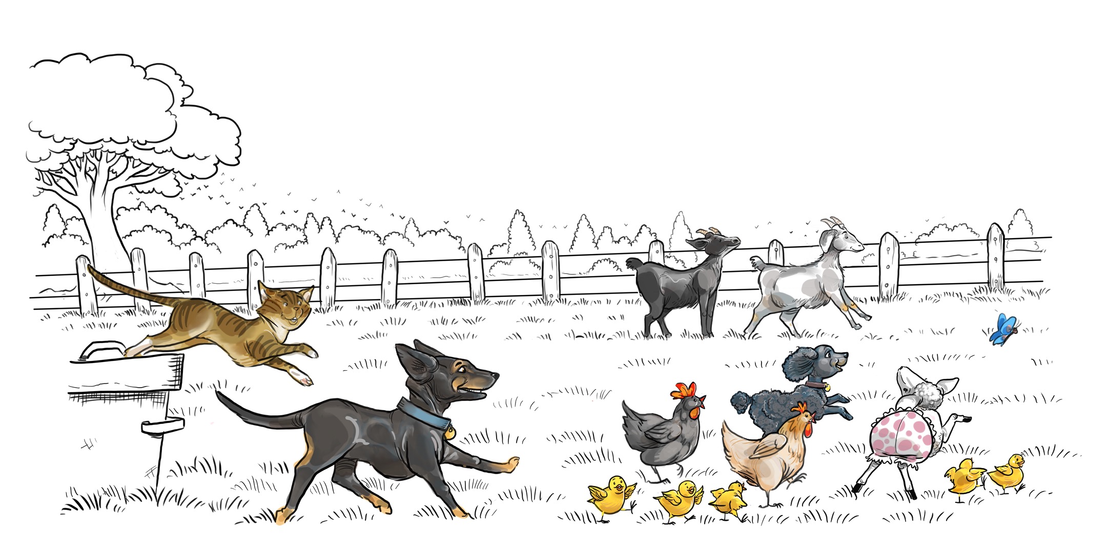 Aaron Pocock Illustration's image