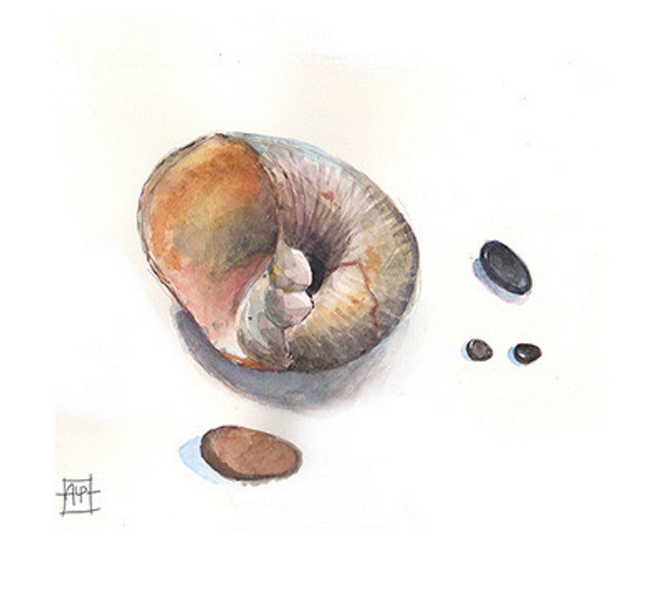 Aaron Pocock Illustration's image