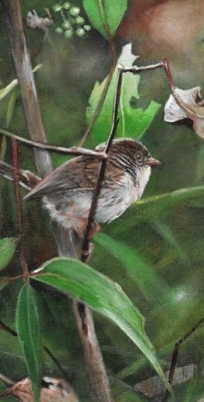 Aaron Pocock Illustration's image