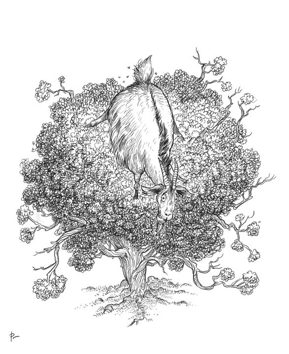 Aaron Pocock Illustration's image