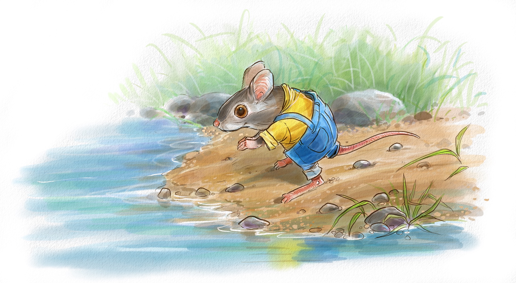 Aaron Pocock Illustration's image