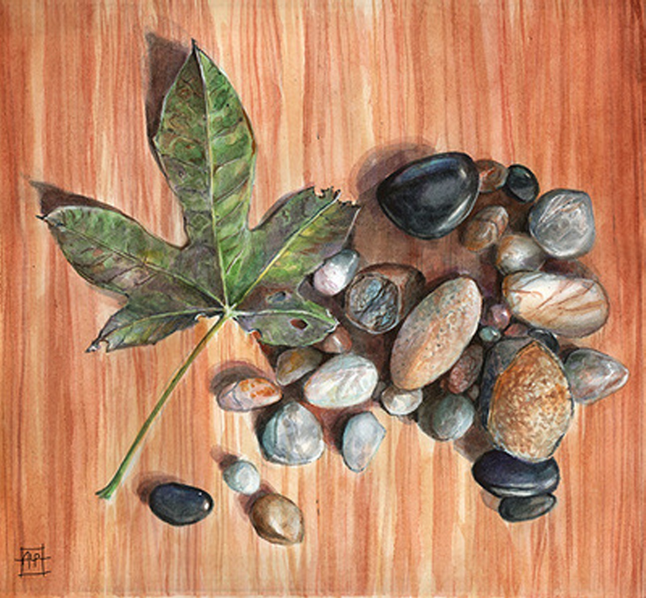 Aaron Pocock Illustration's image