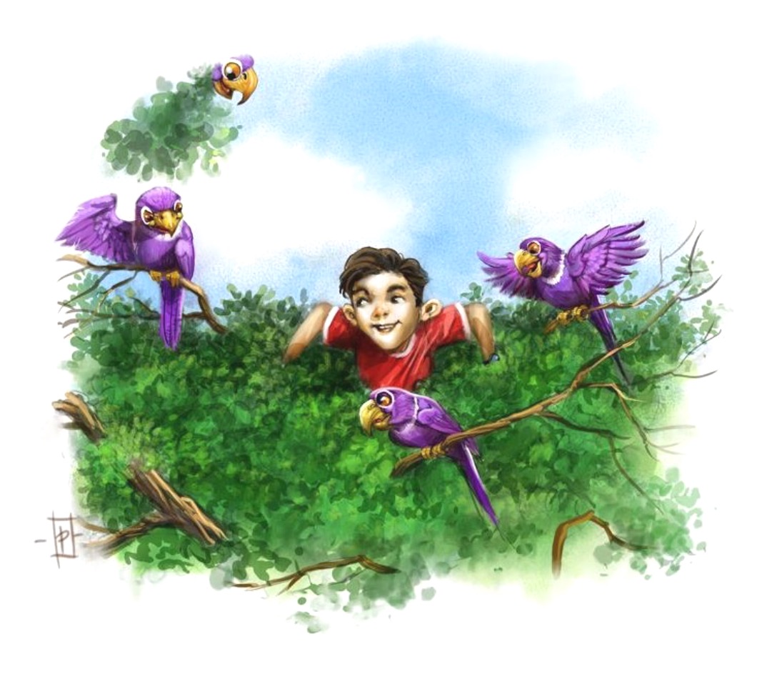 Aaron Pocock Illustration's image